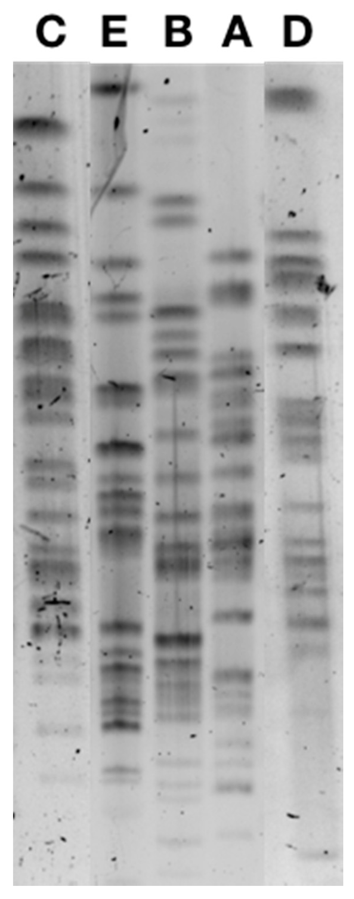 Antibiotics 10 00574 g001 Antibiotics 10 00574 g001