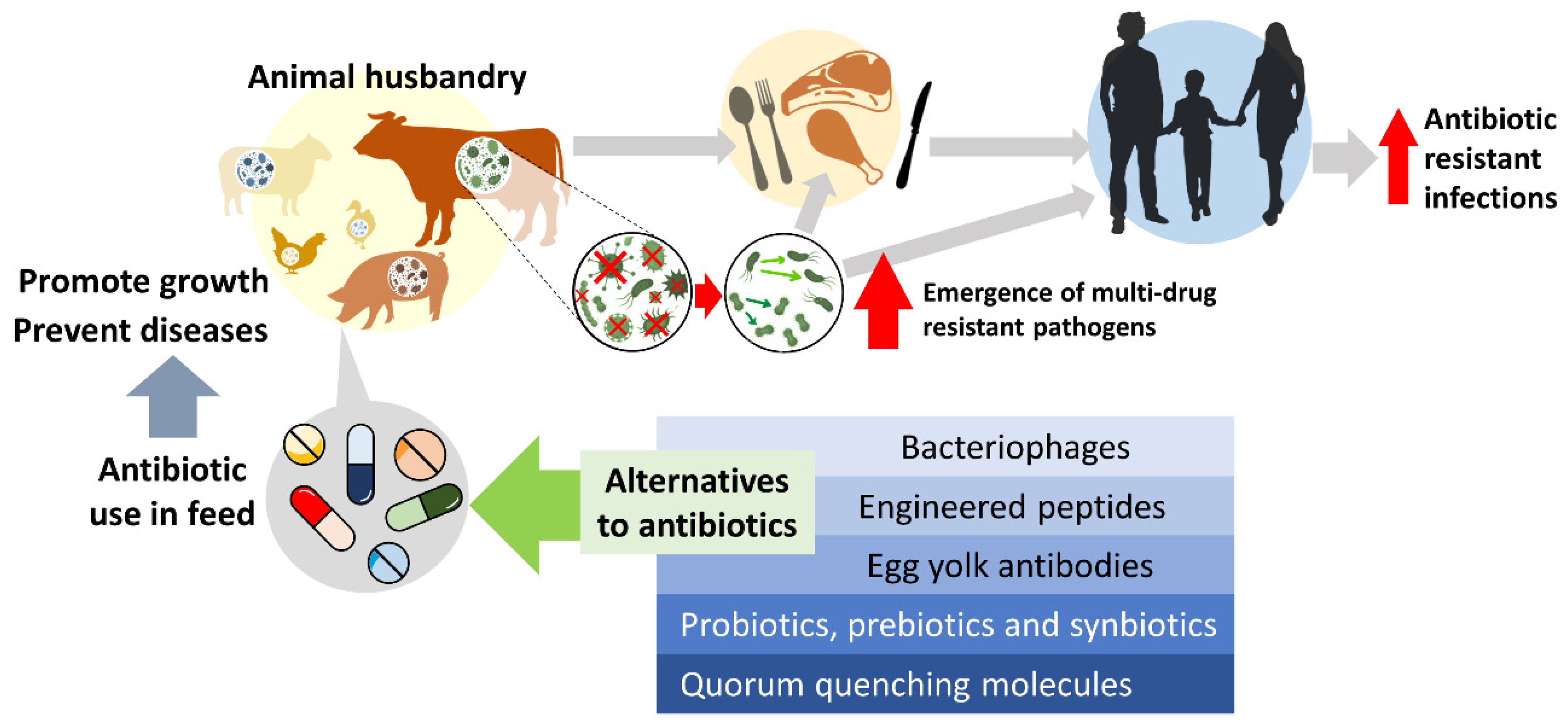 Antibiotics | Free Full-Text | Unveiling the Impact of Antibiotics and  Alternative Methods for Animal Husbandry: A Review