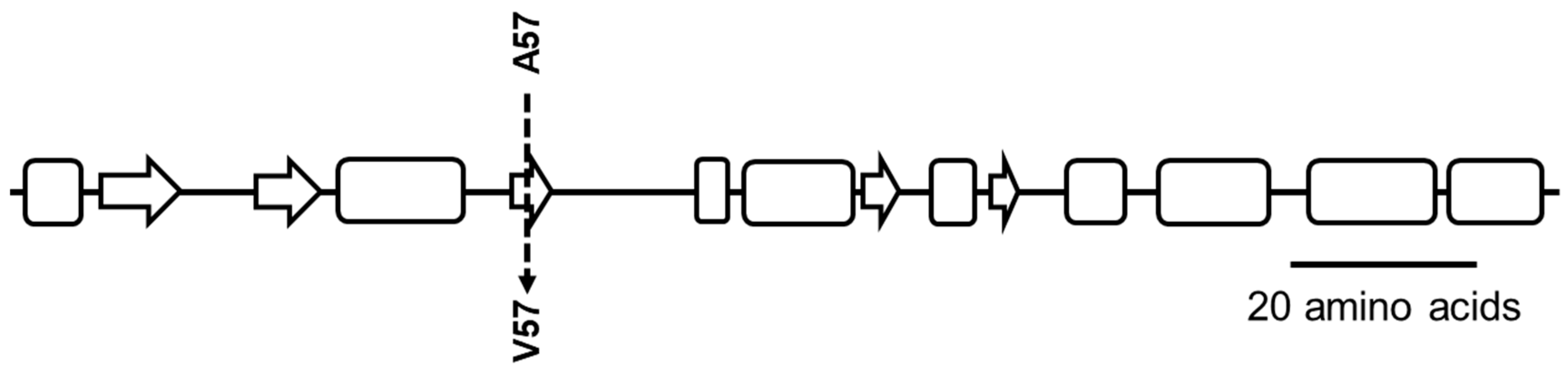 Antibiotics 10 00583 g001