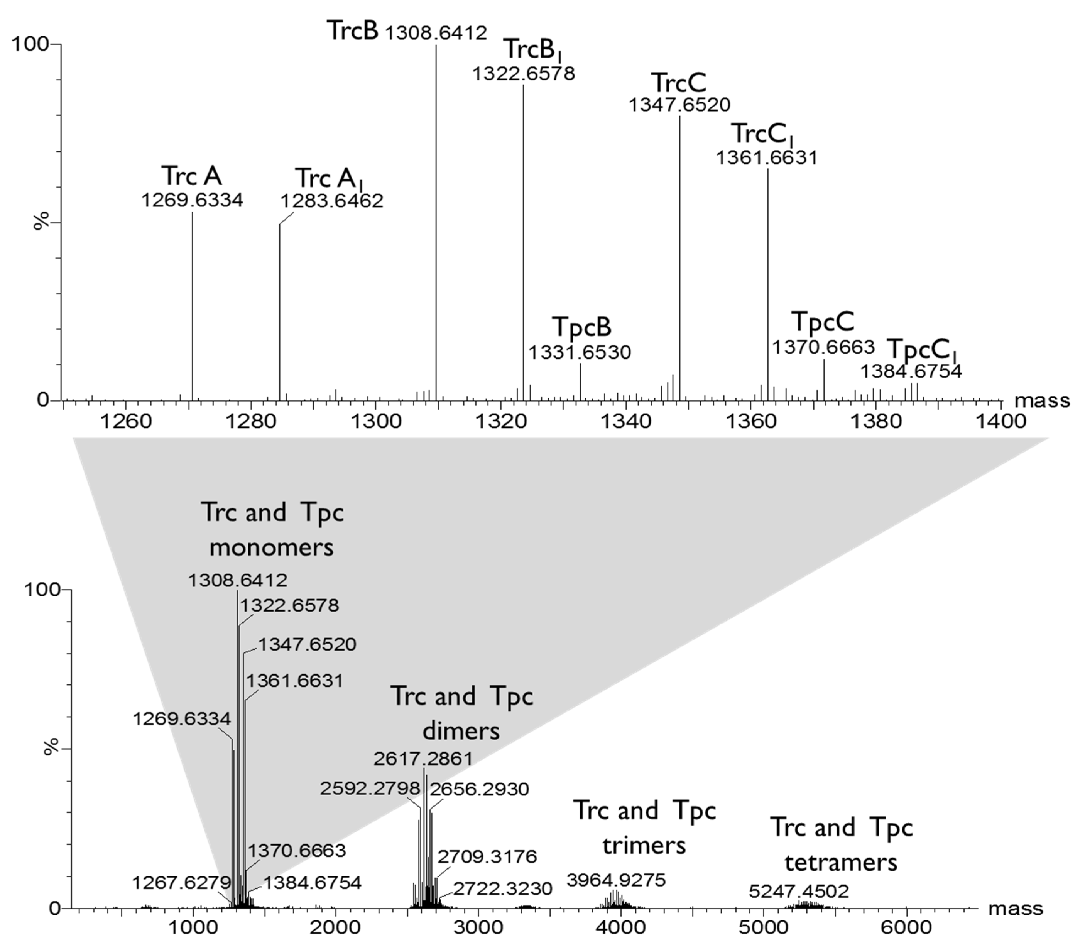 Antibiotics 10 00597 g002 Antibiotics 10 00597 g002
