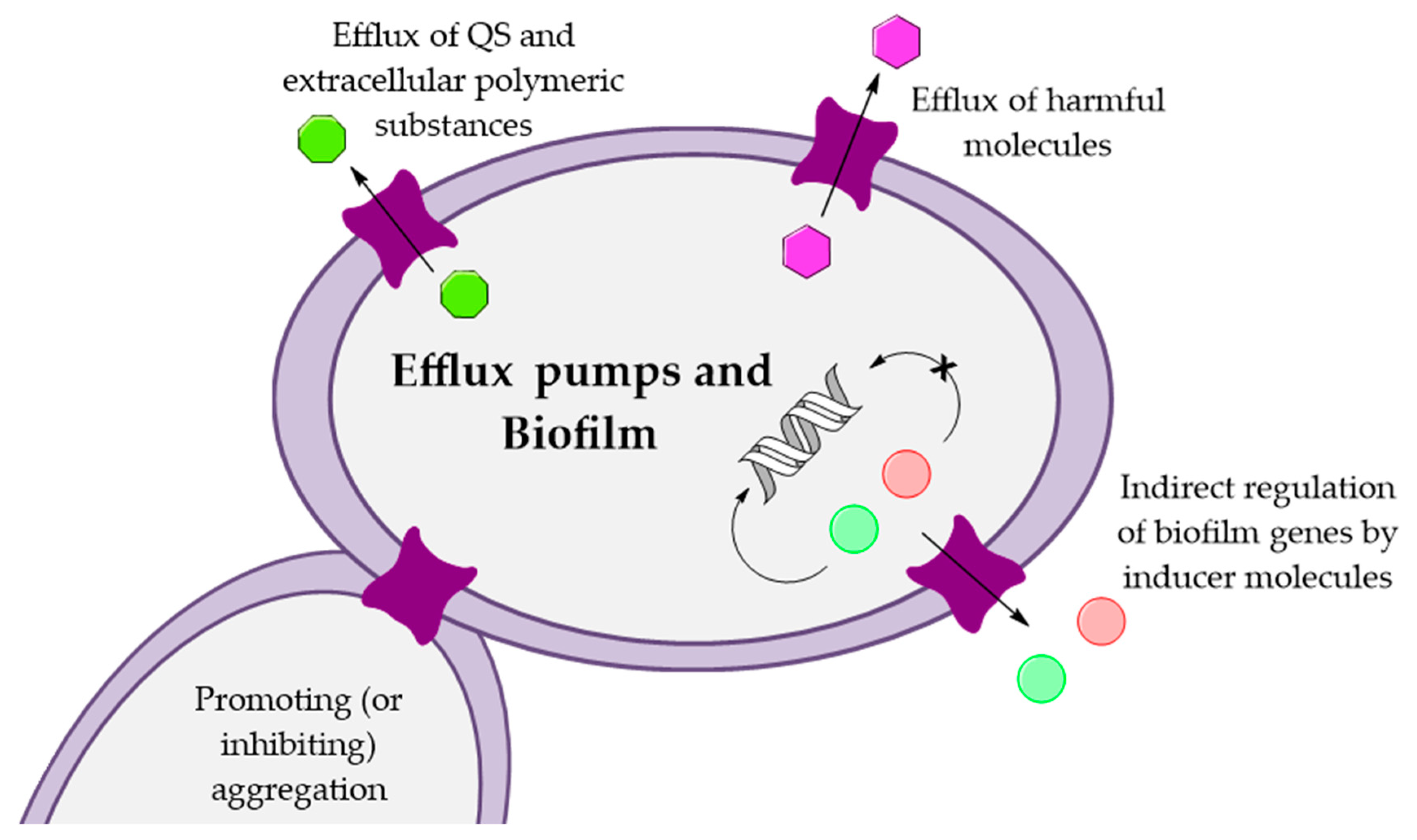 Antibiotics 10 00600 g002