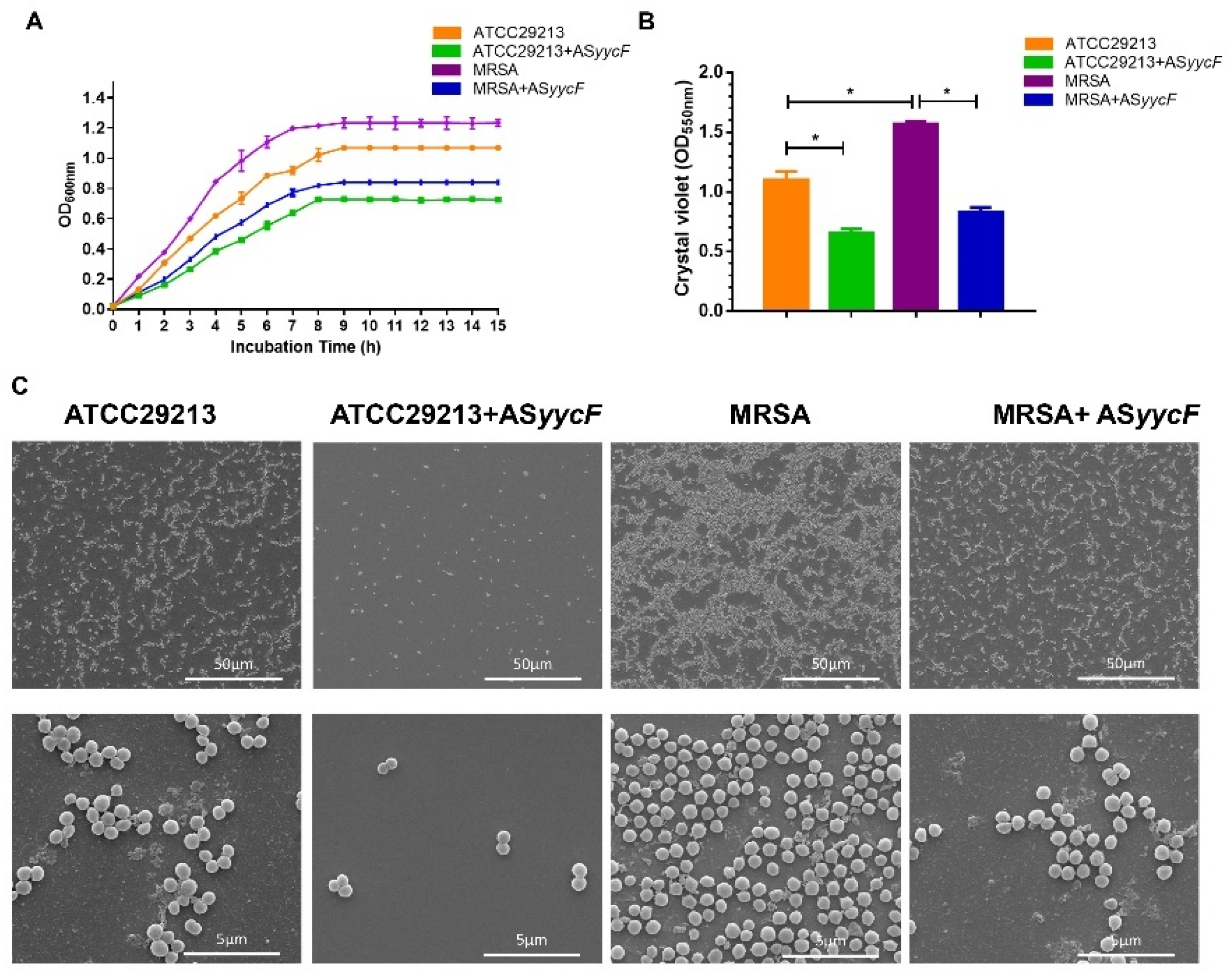Antibiotics 10 00603 g002 Antibiotics 10 00603 g002