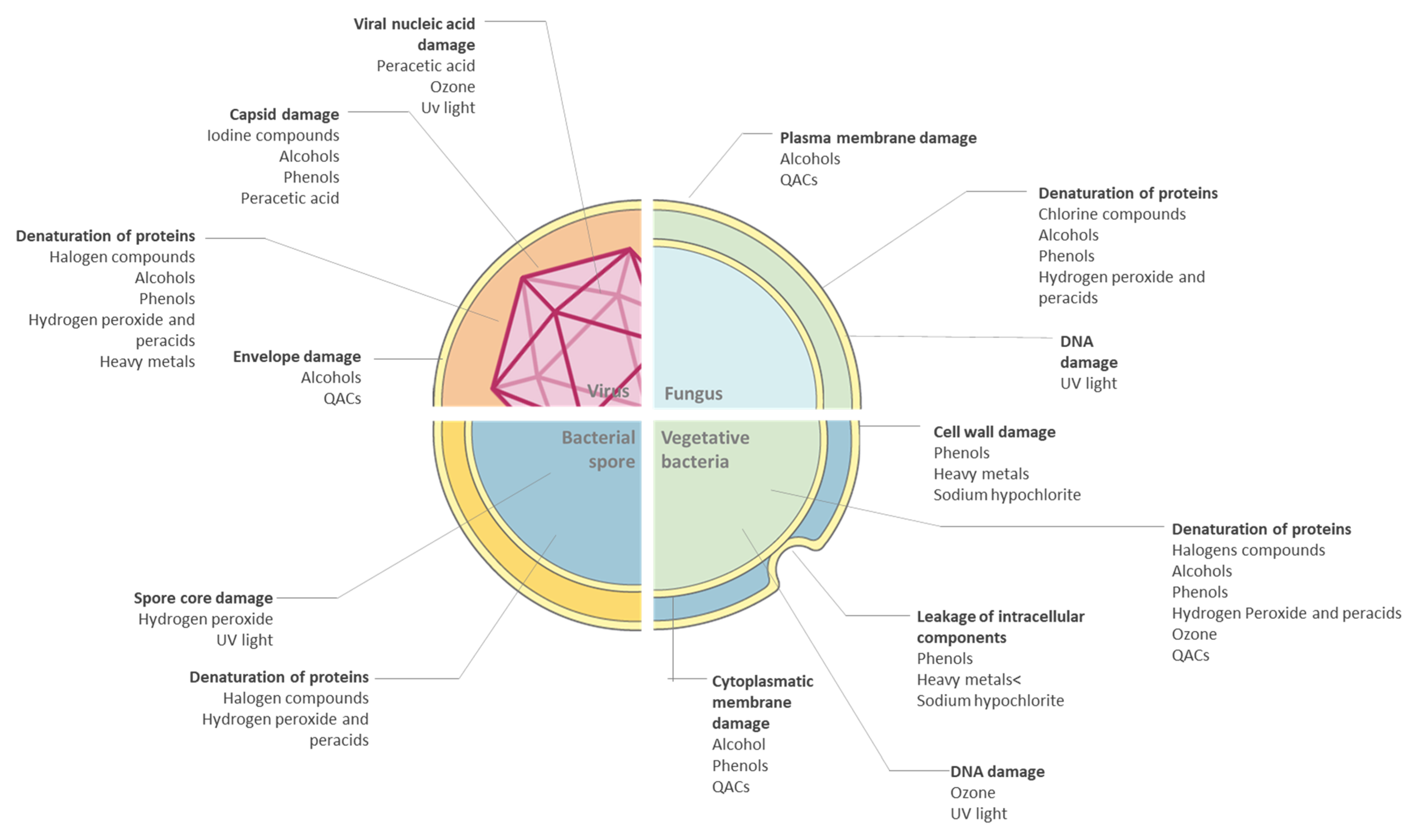 Antibiotics 10 00613 g005 Antibiotics 10 00613 g005