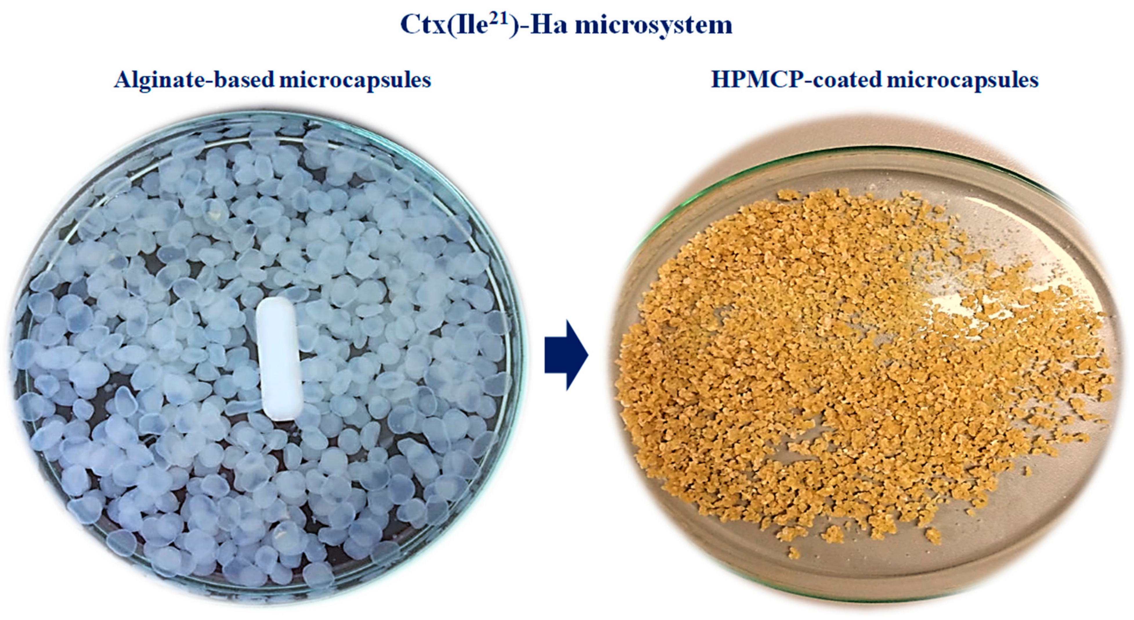 Antibiotics 10 00616 g002 Antibiotics 10 00616 g002