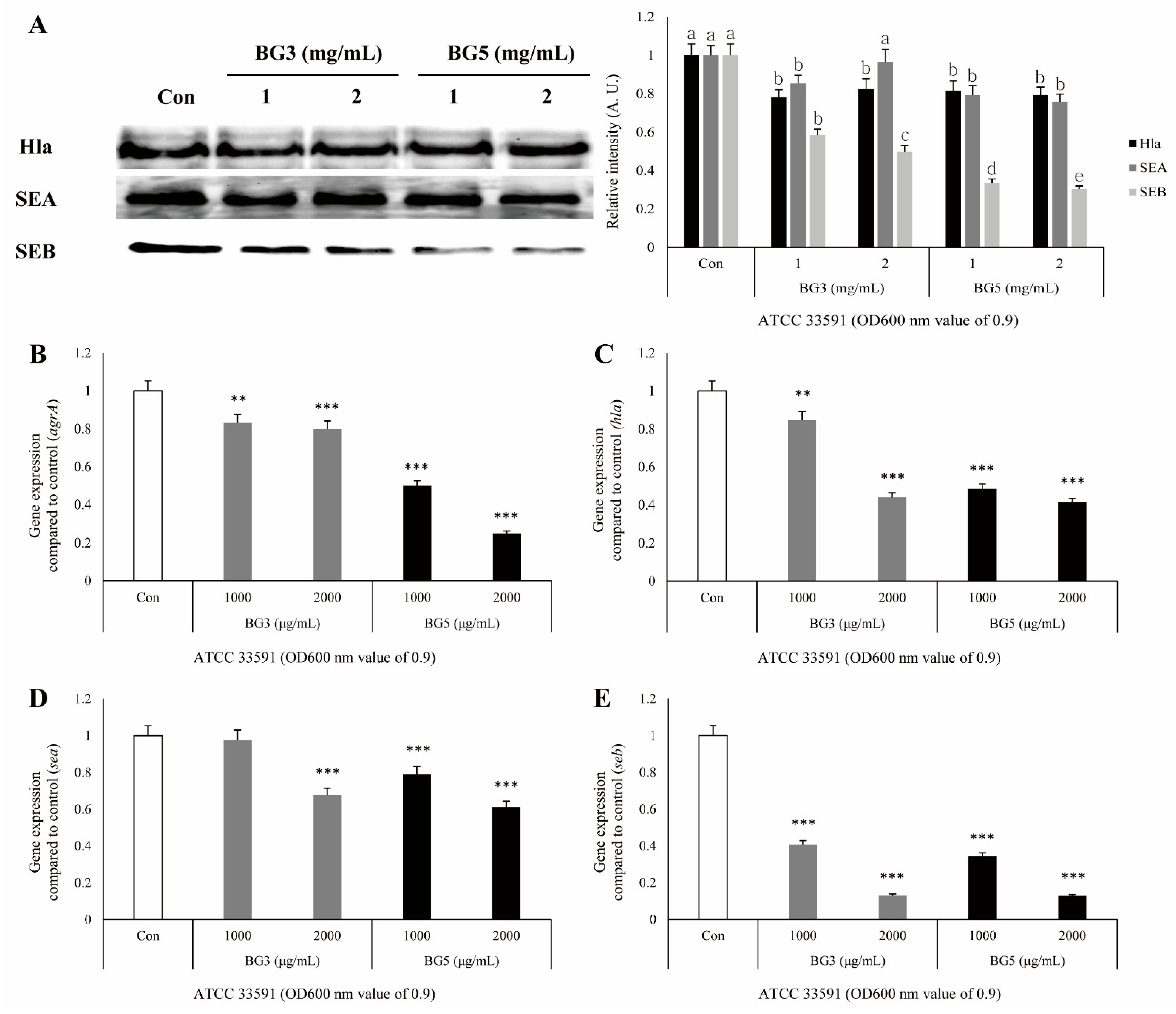Antibiotics 10 00617 g004 Antibiotics 10 00617 g004
