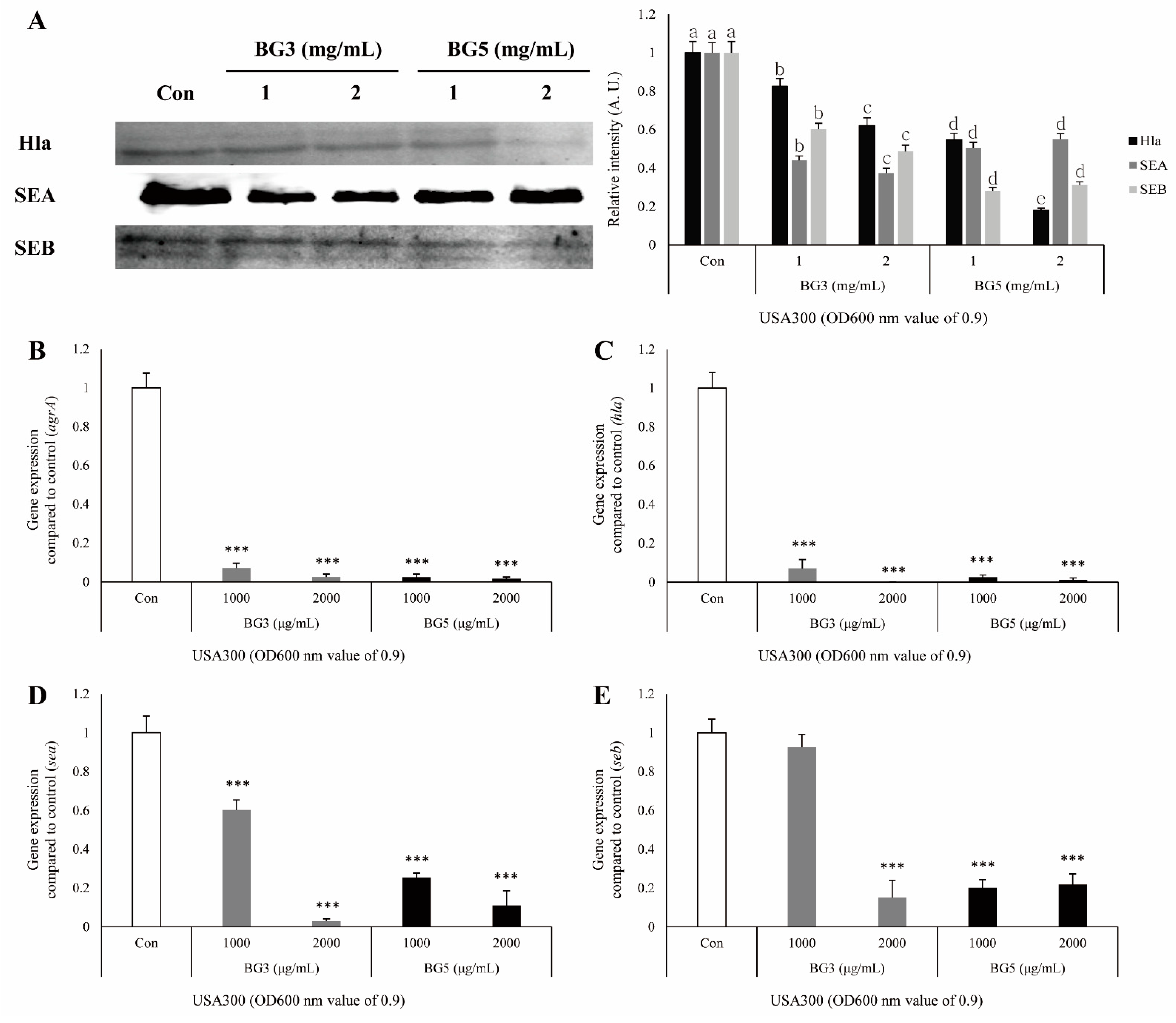 Antibiotics 10 00617 g005 Antibiotics 10 00617 g005