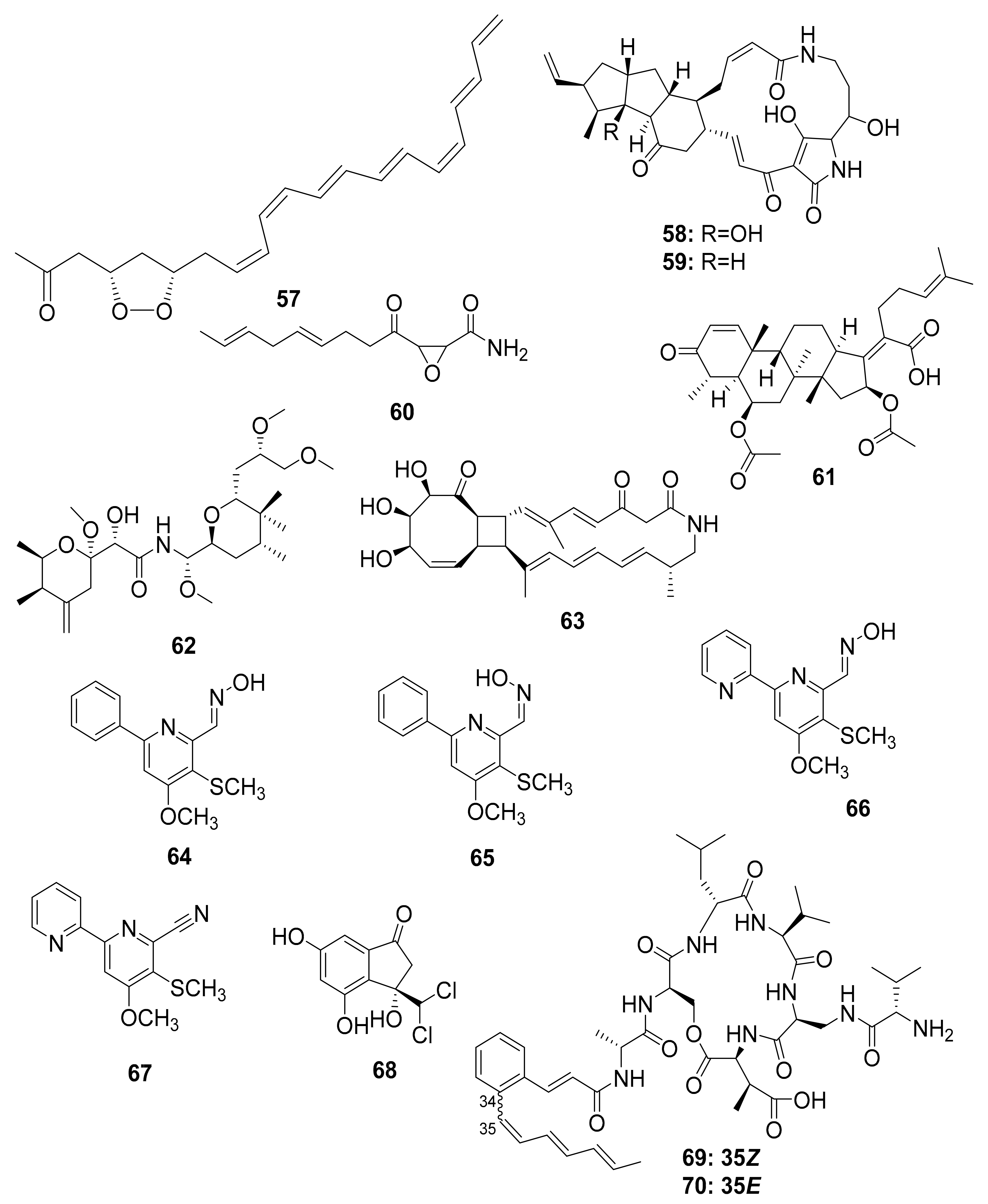 Antibiotics 10 00621 g008