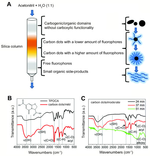 Antibiotics Free FullText Carbon Quantum Dots Derived from