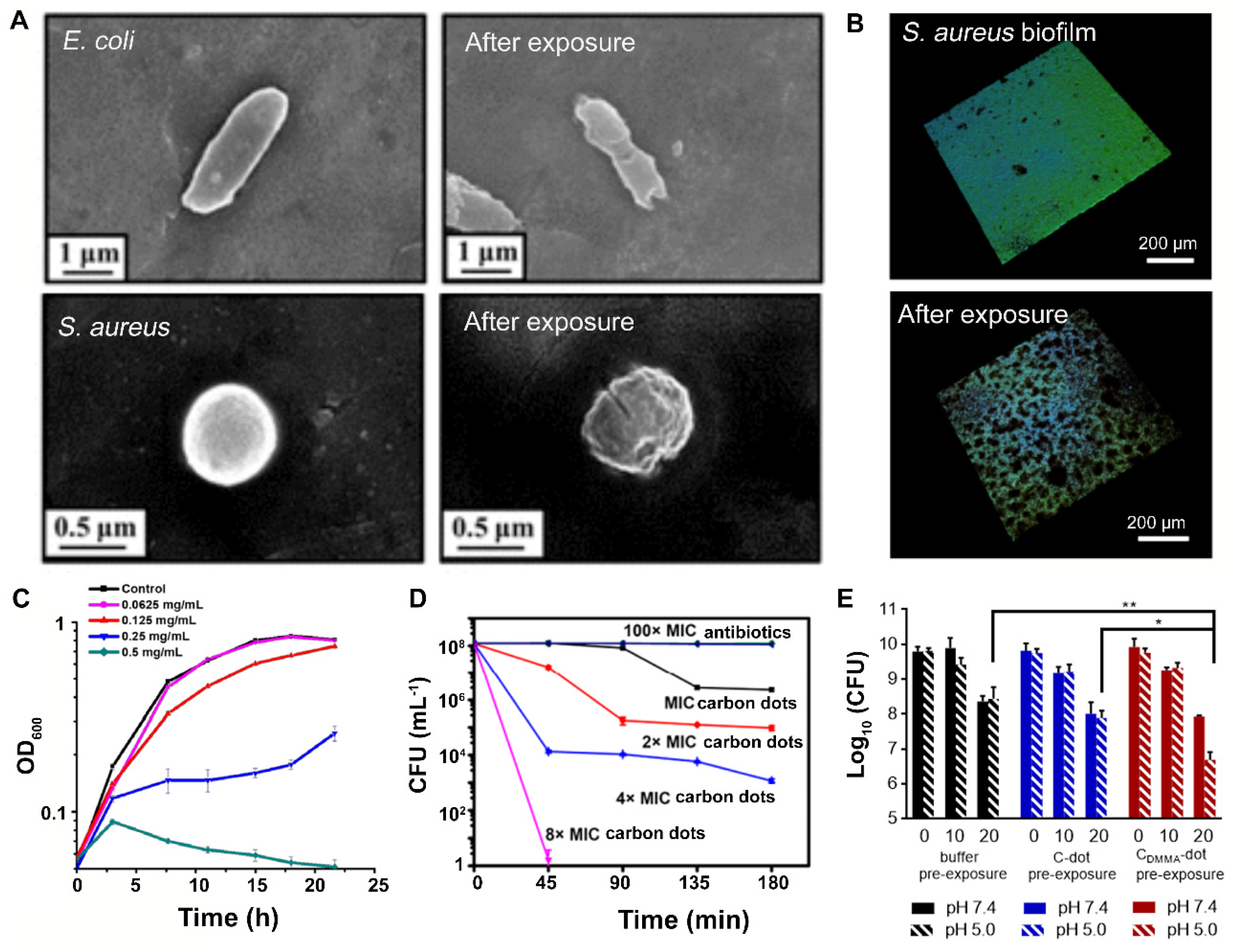 Antibiotics 10 00623 g009