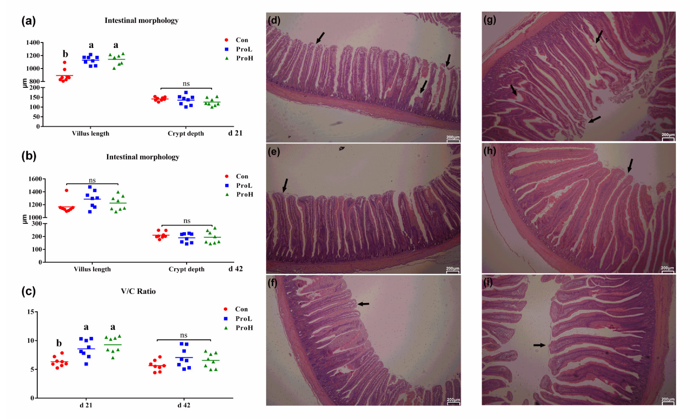 Antibiotics 10 00624 g002