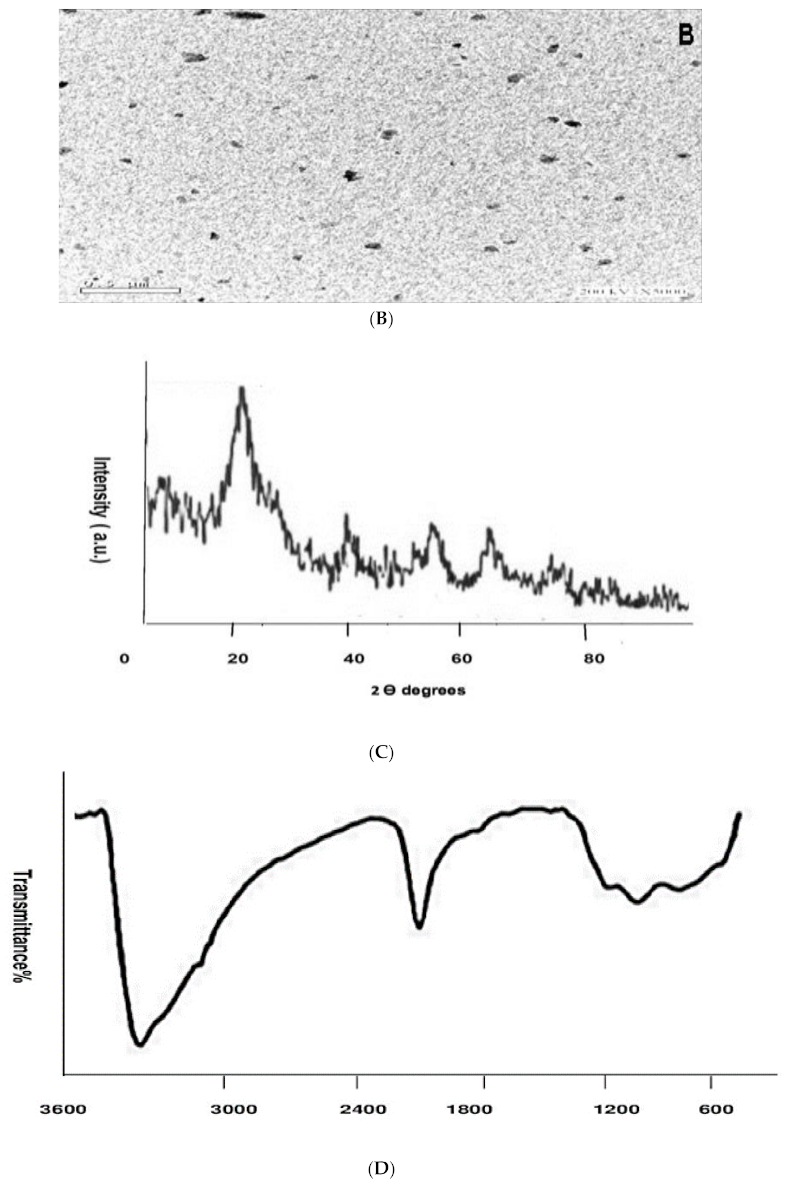 Antibiotics 10 00625 g001b Antibiotics 10 00625 g001b
