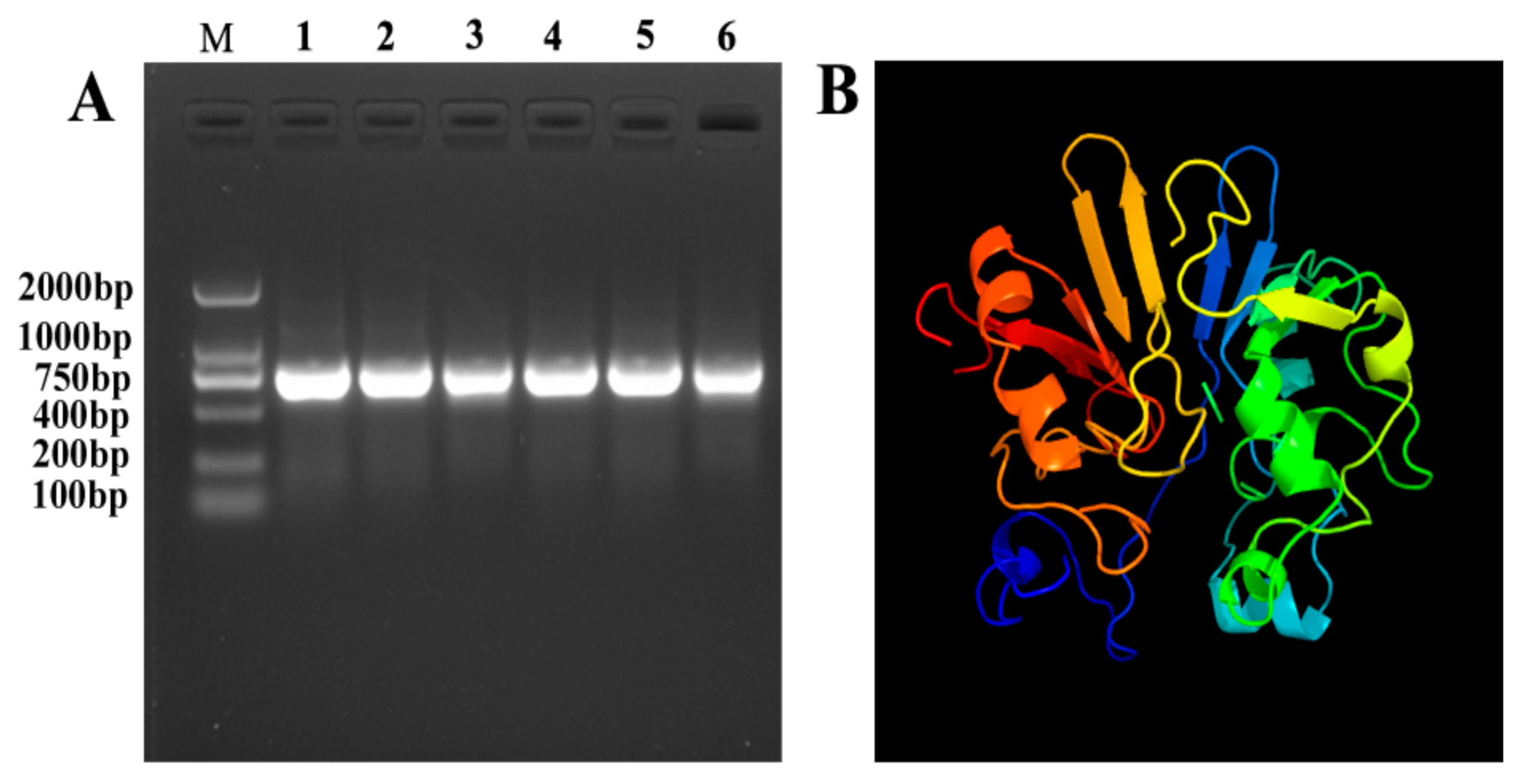 Antibiotics 10 00631 g001