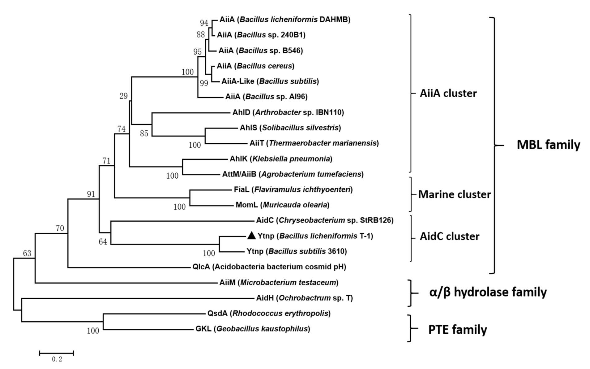 Antibiotics 10 00631 g002