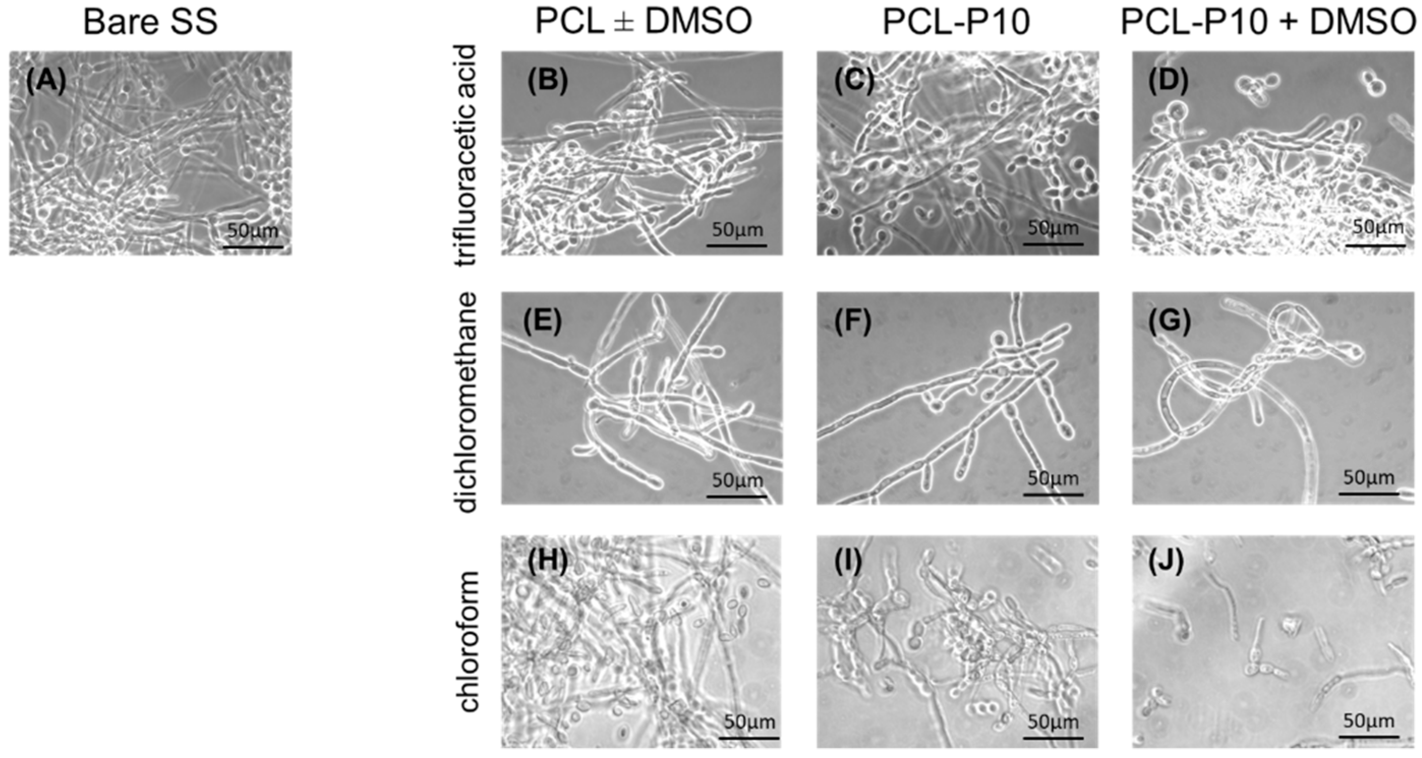 Antibiotics 10 00638 g003
