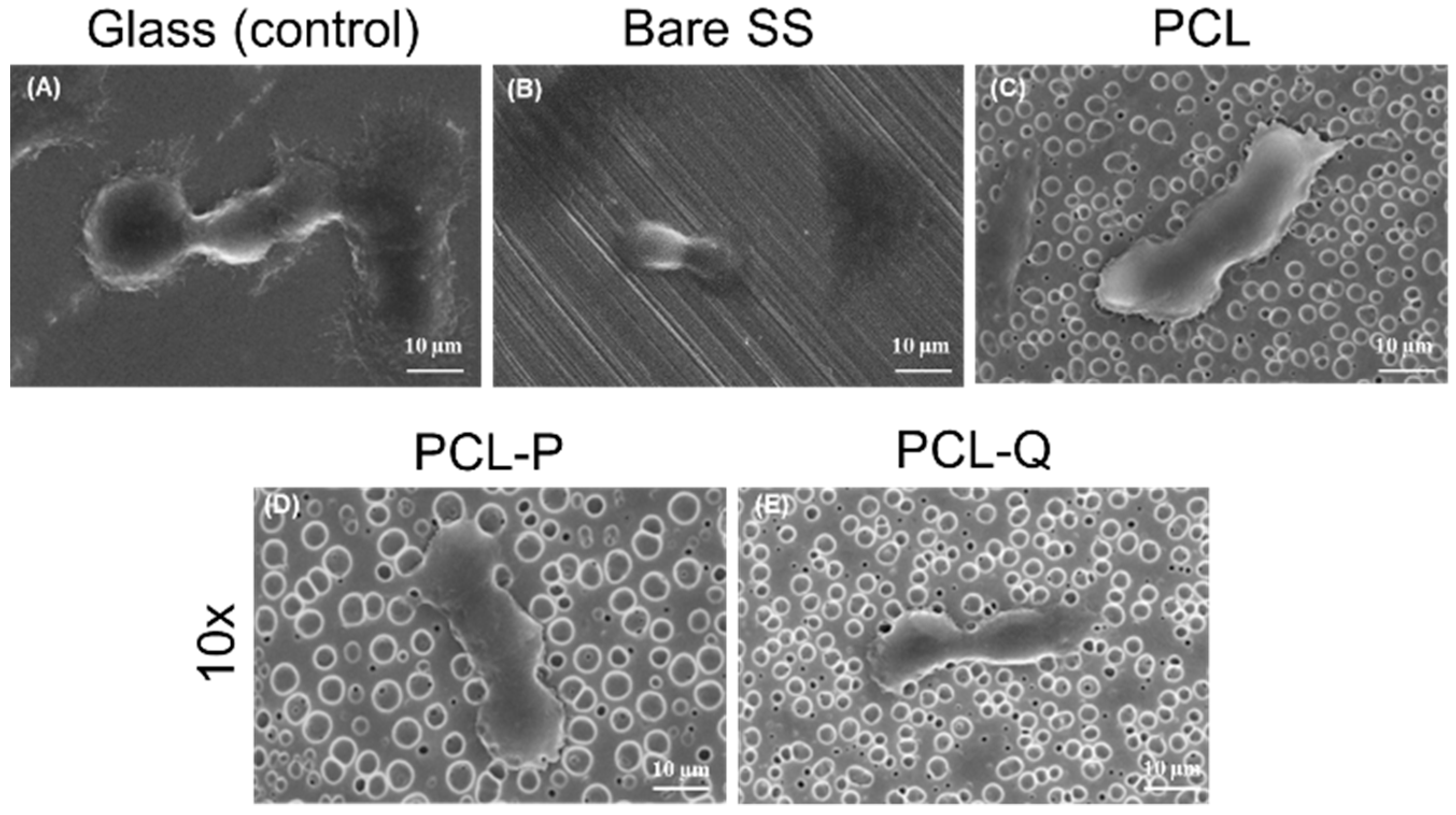 Antibiotics 10 00638 g006