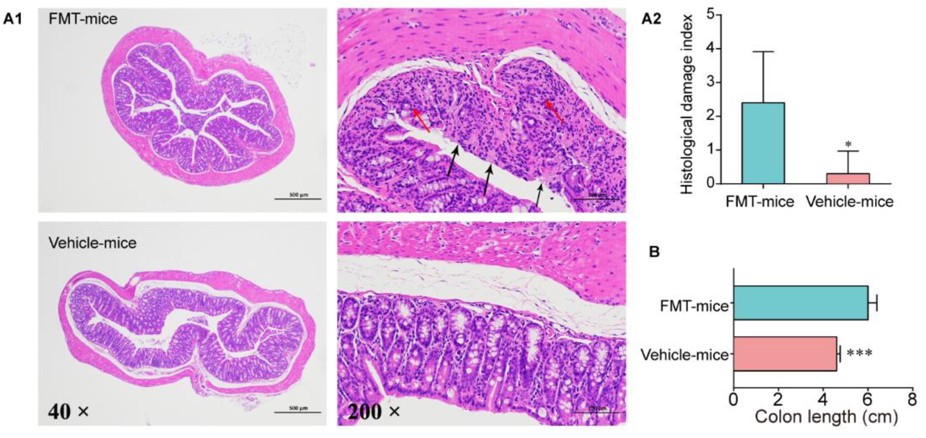 Antibiotics 10 00643 g005 Antibiotics 10 00643 g005