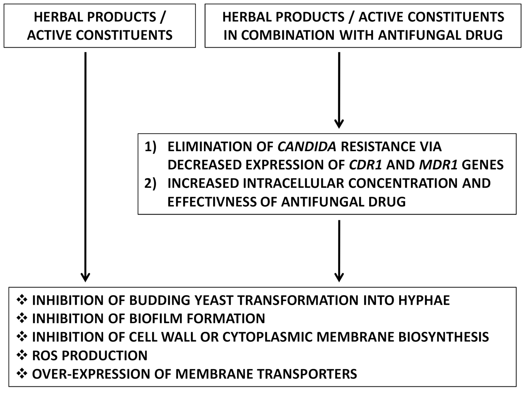 Antibiotics 10 00655 g002
