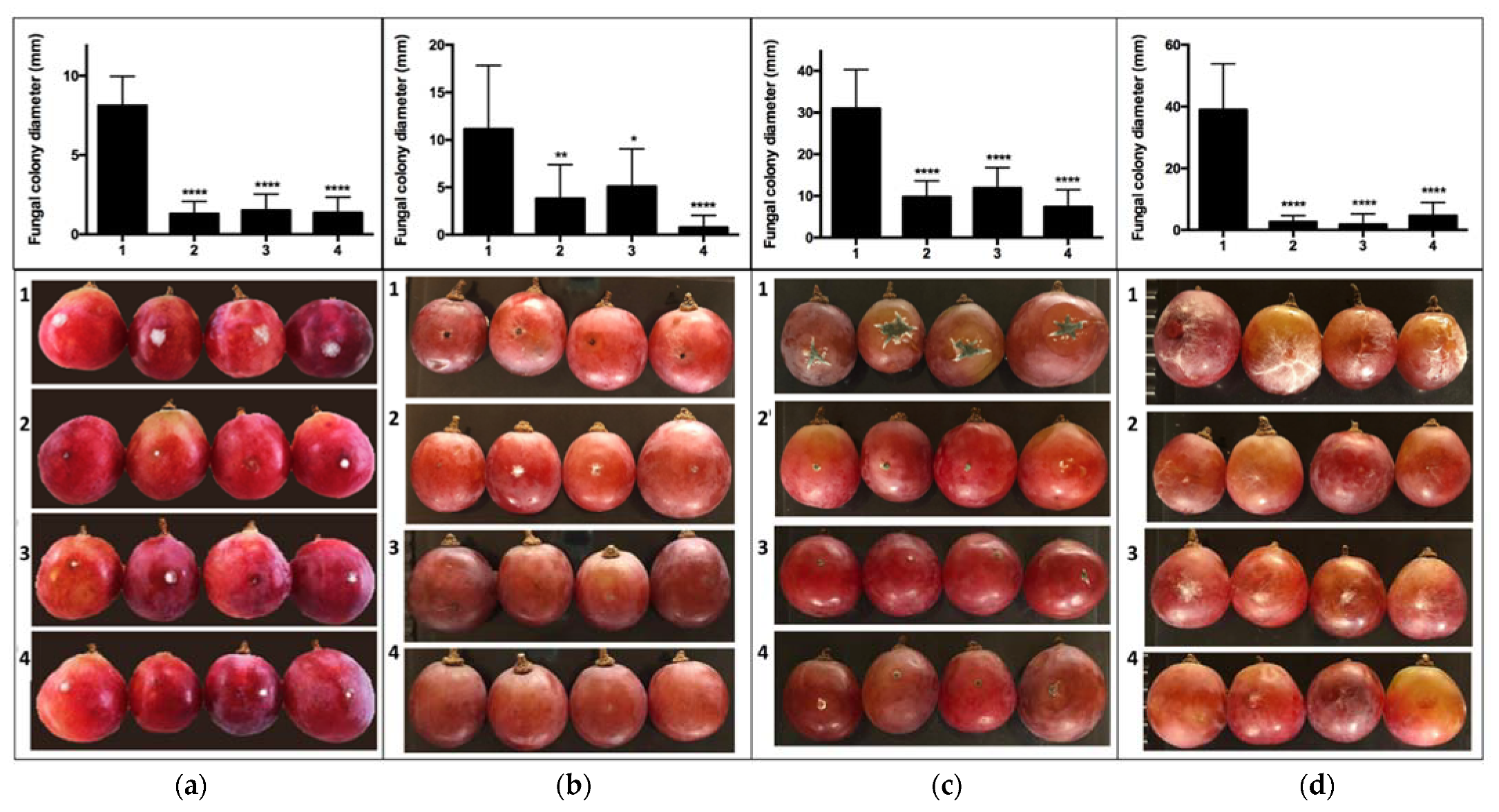 Antibiotics 10 00663 g002a