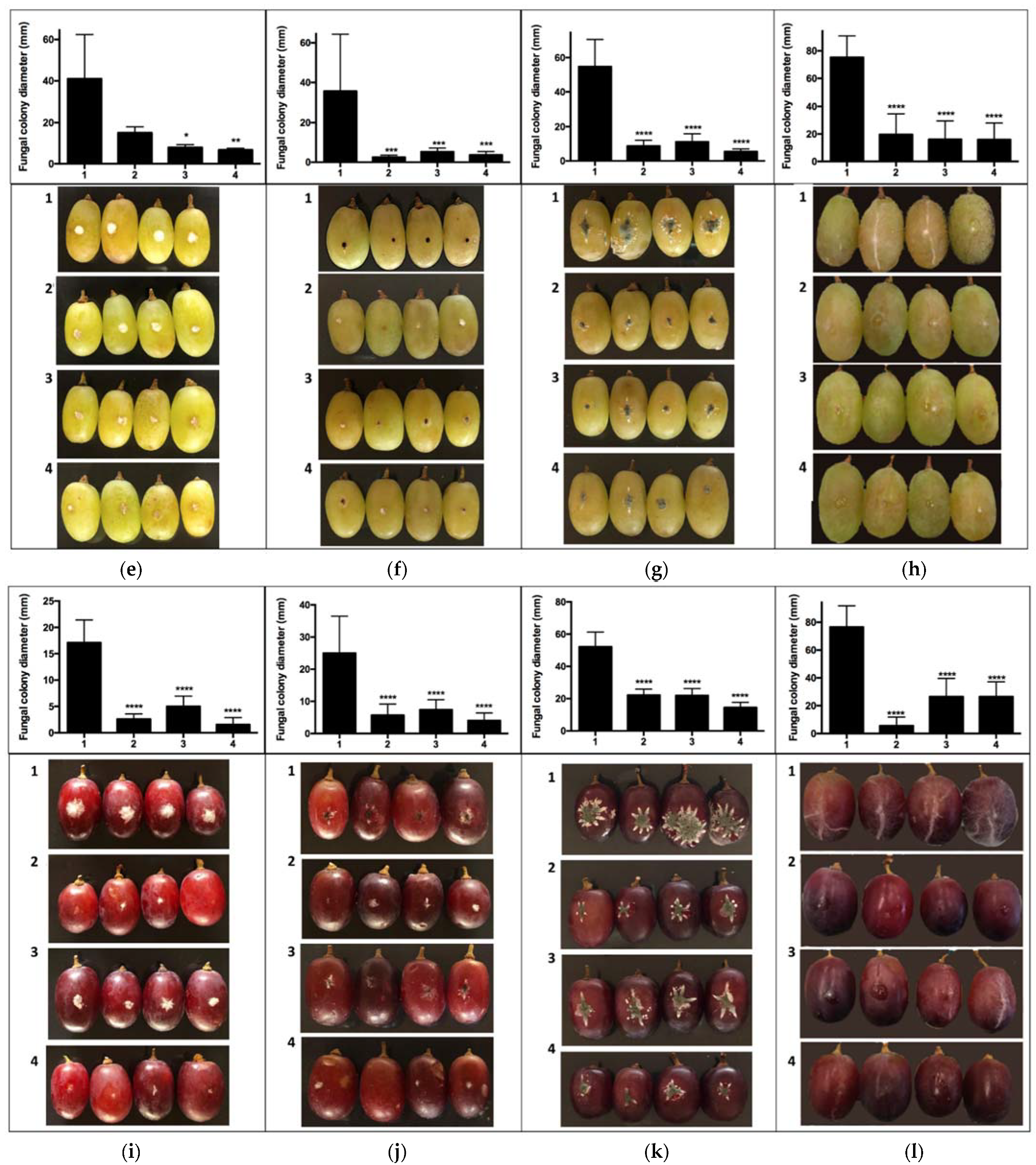 Antibiotics 10 00663 g002b