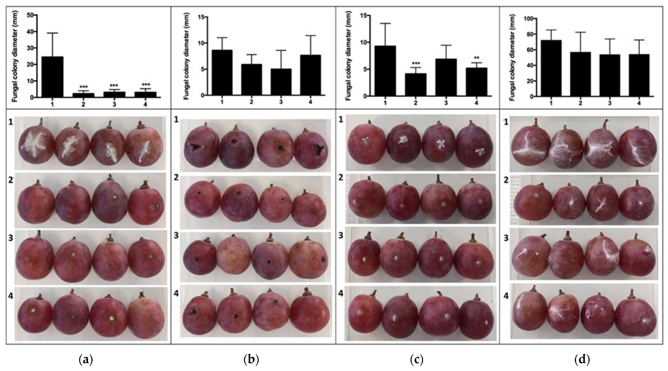 Antibiotics 10 00663 g003a