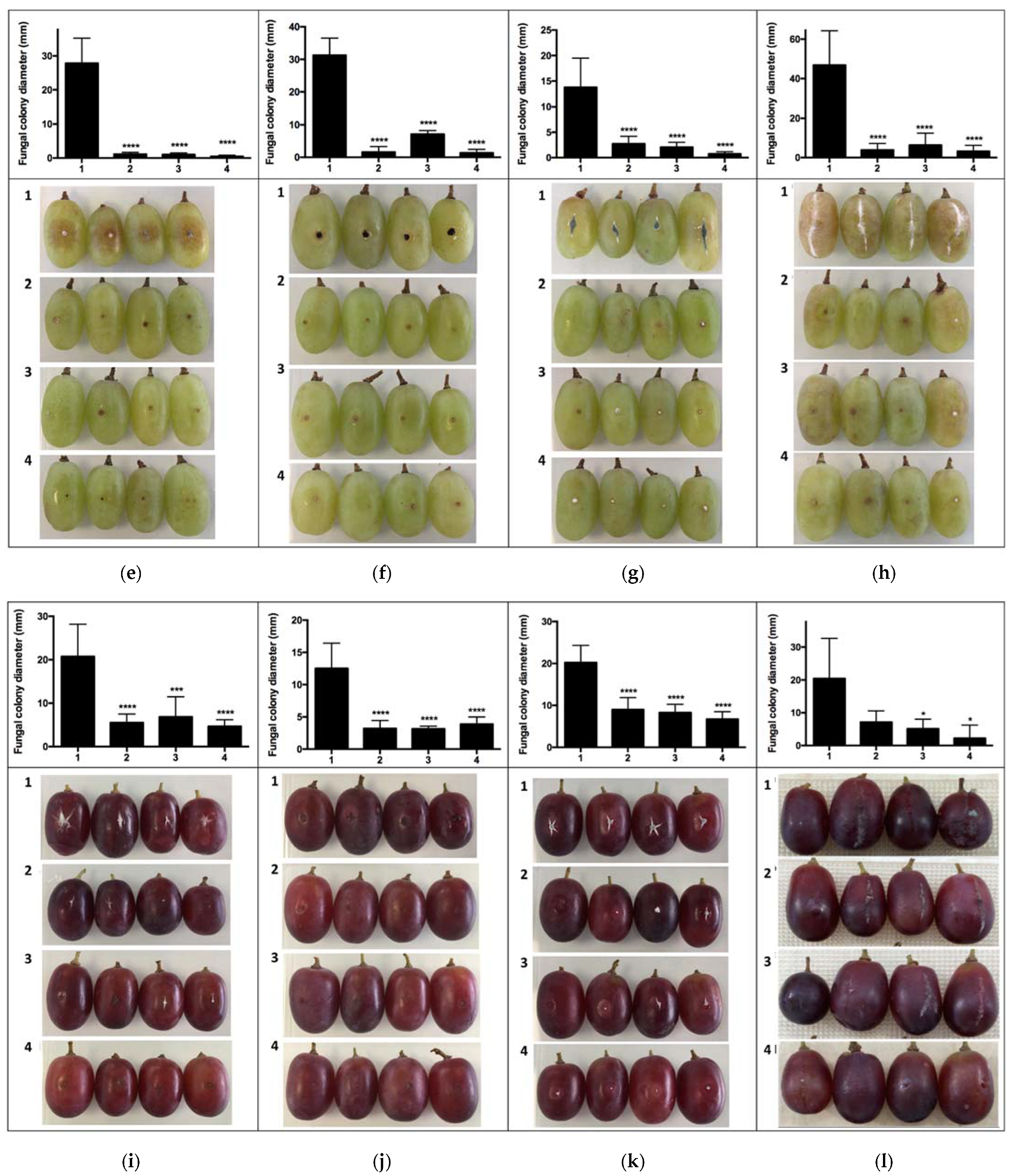 Antibiotics 10 00663 g003b