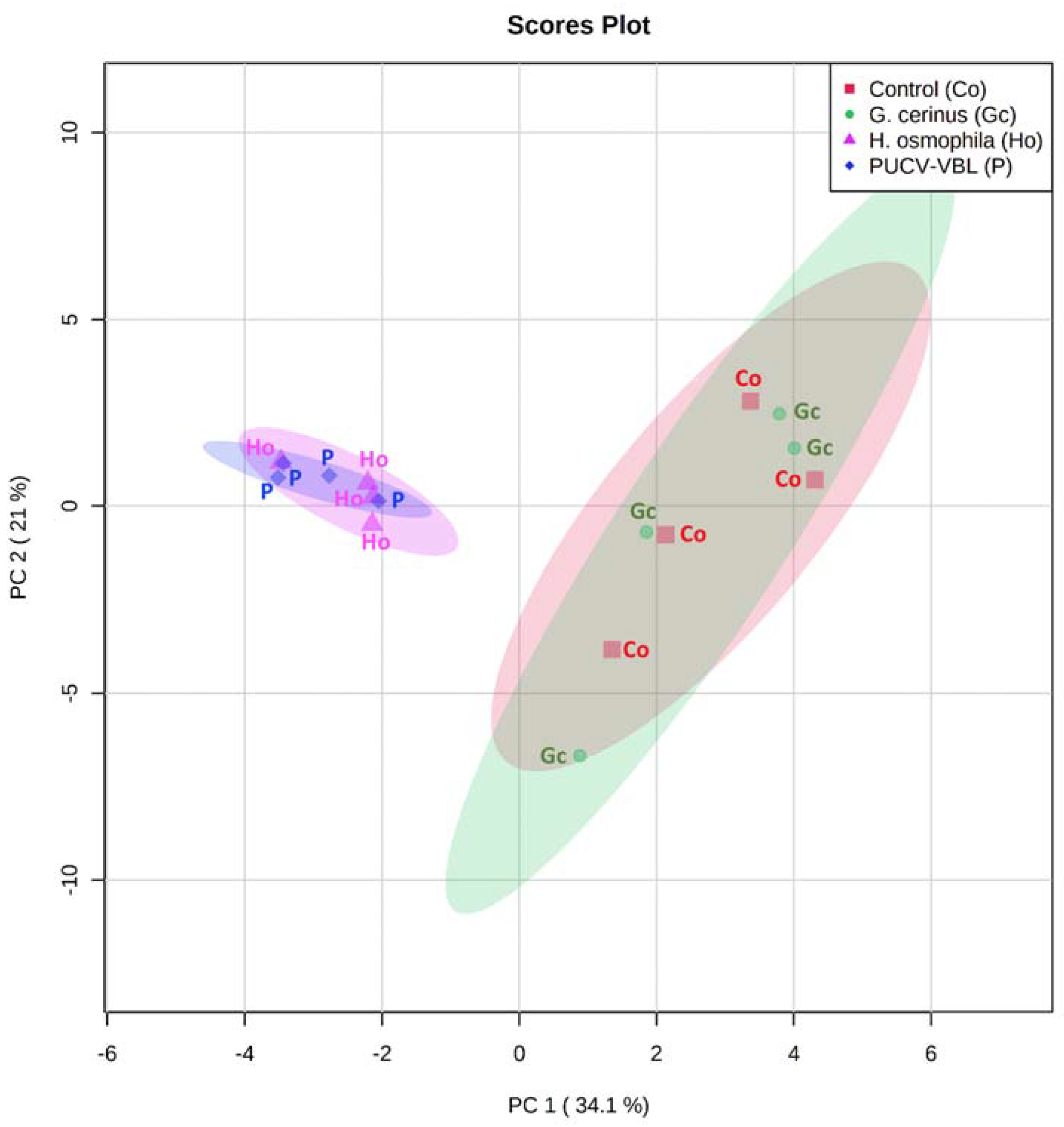 Antibiotics 10 00663 g004