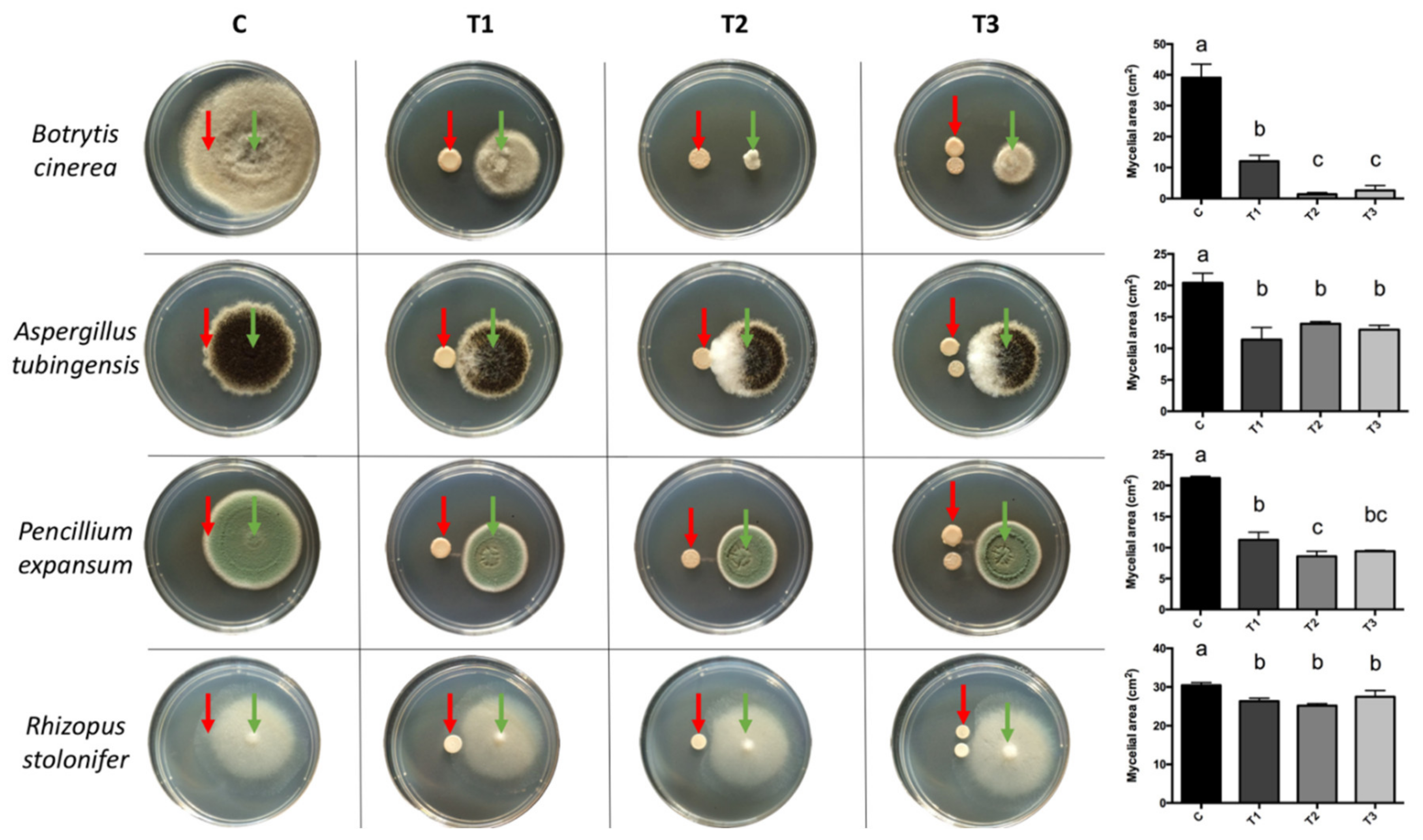 Antibiotics 10 00664 g001 Antibiotics 10 00664 g001