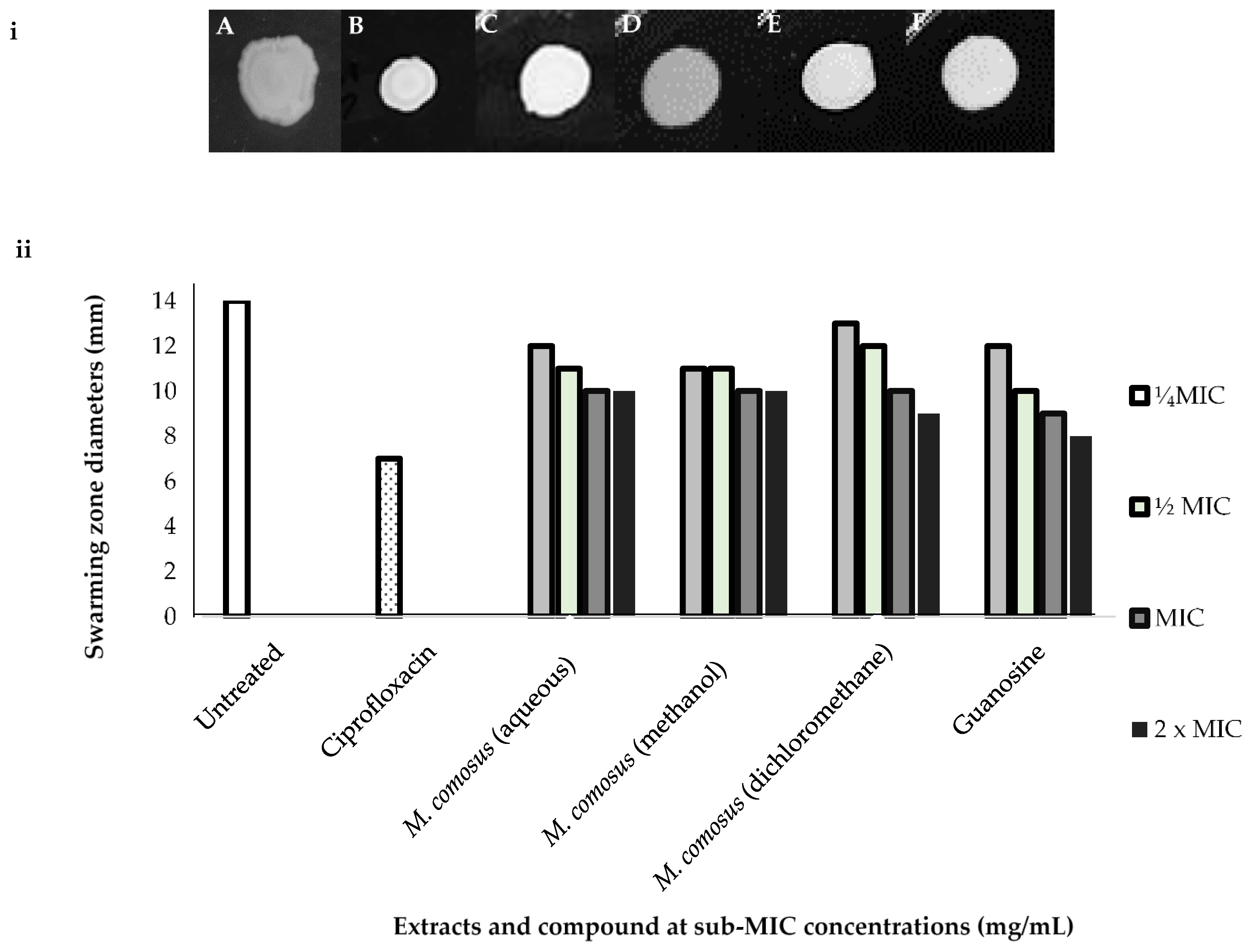 Antibiotics 10 00679 g007