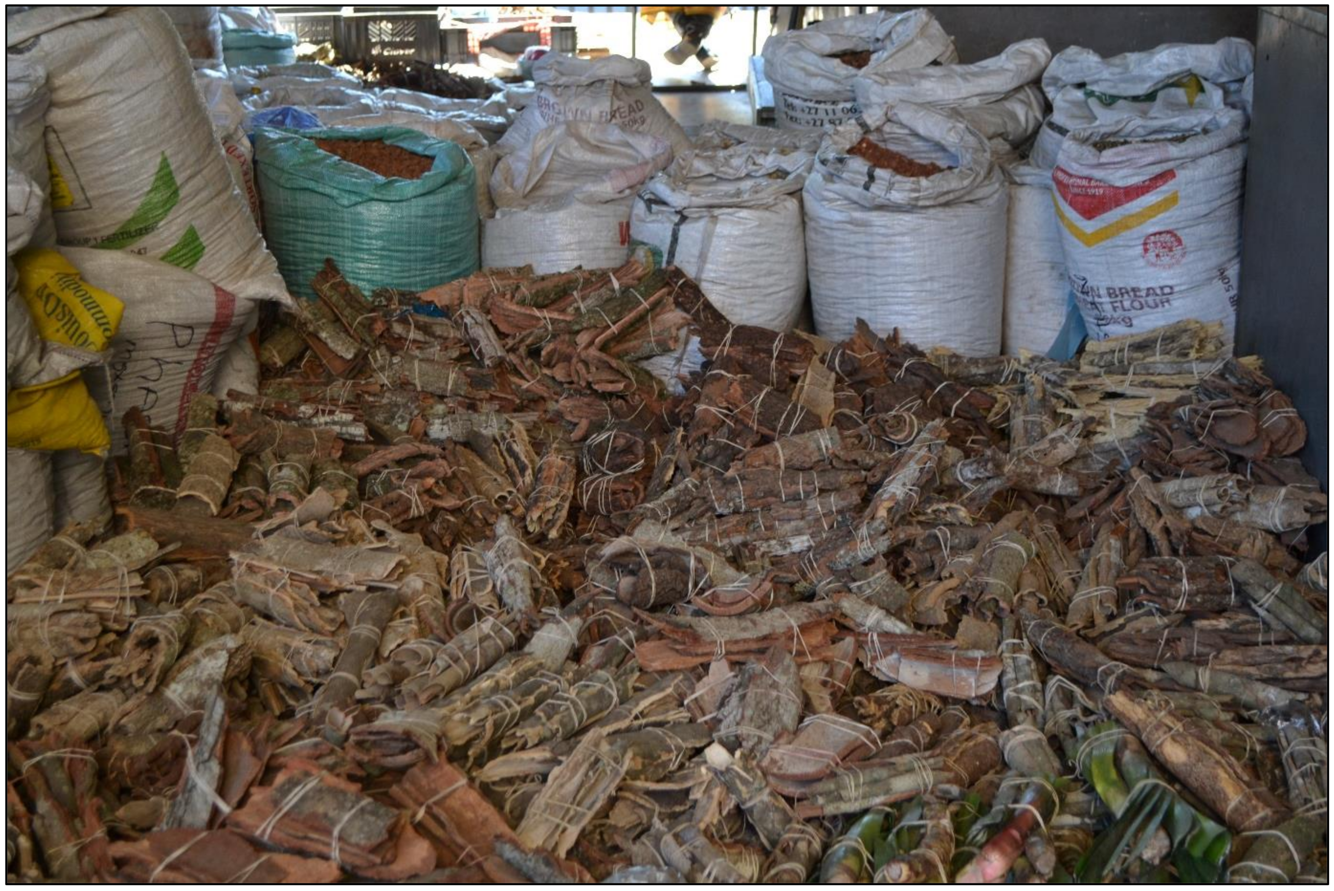 Antibiotics 10 00681 g004