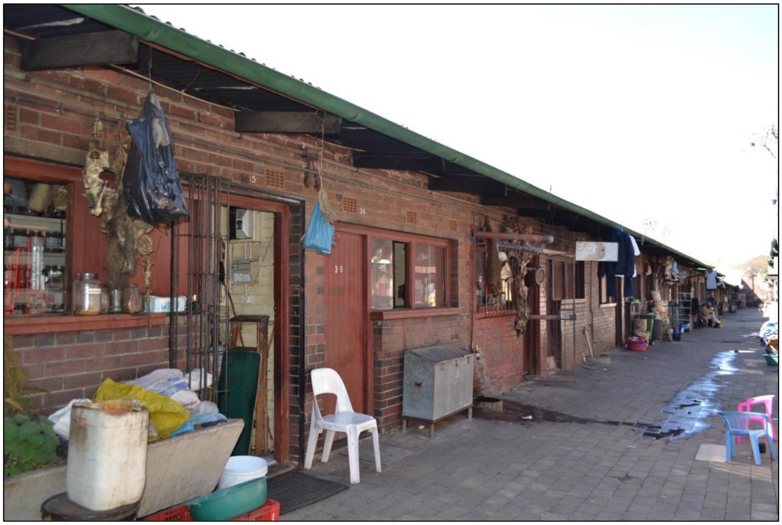 Antibiotics 10 00681 g005