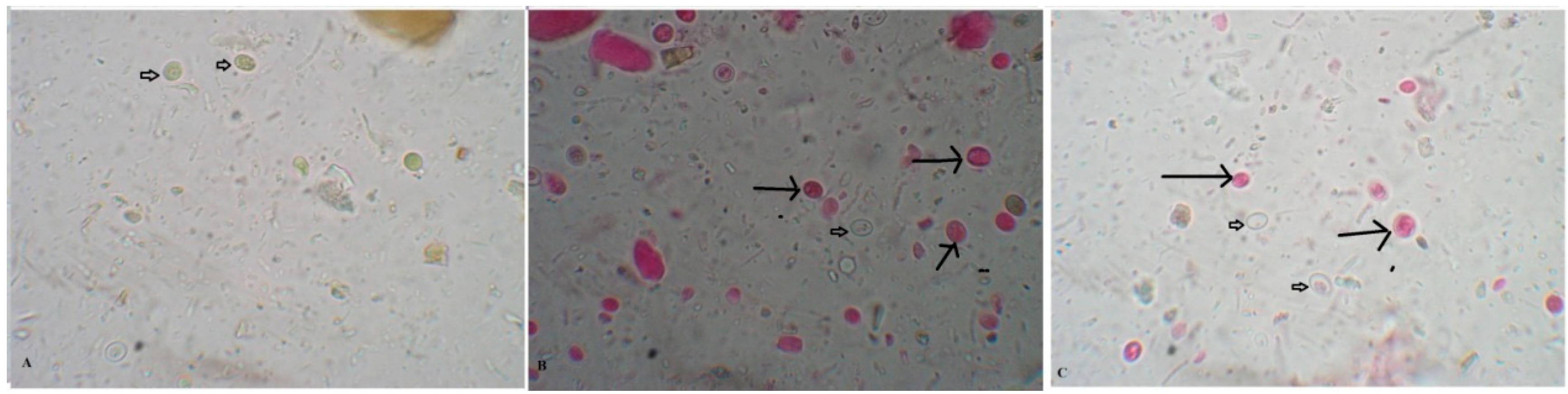 Antibiotics 10 00705 g001