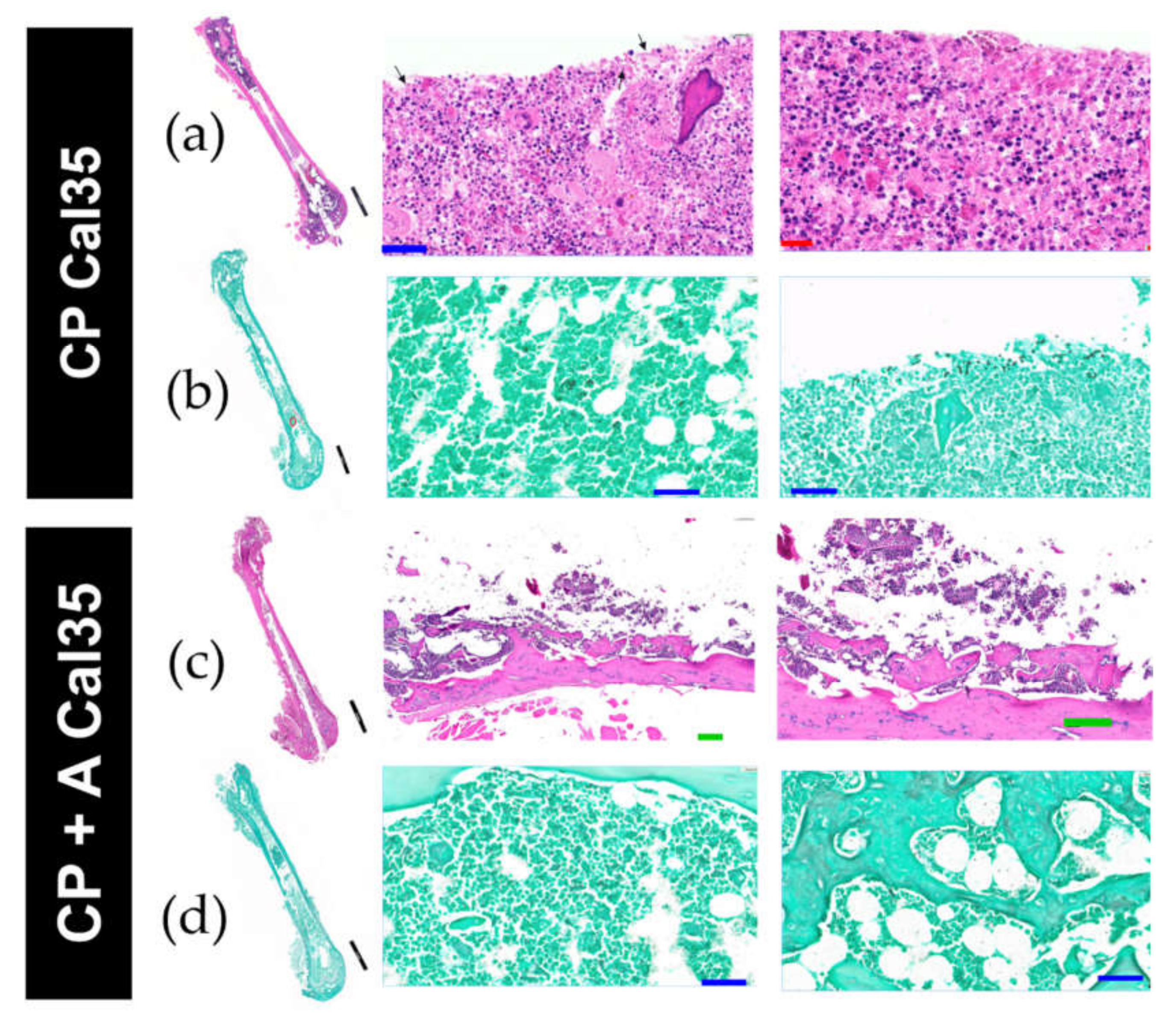 Antibiotics 10 00711 g006
