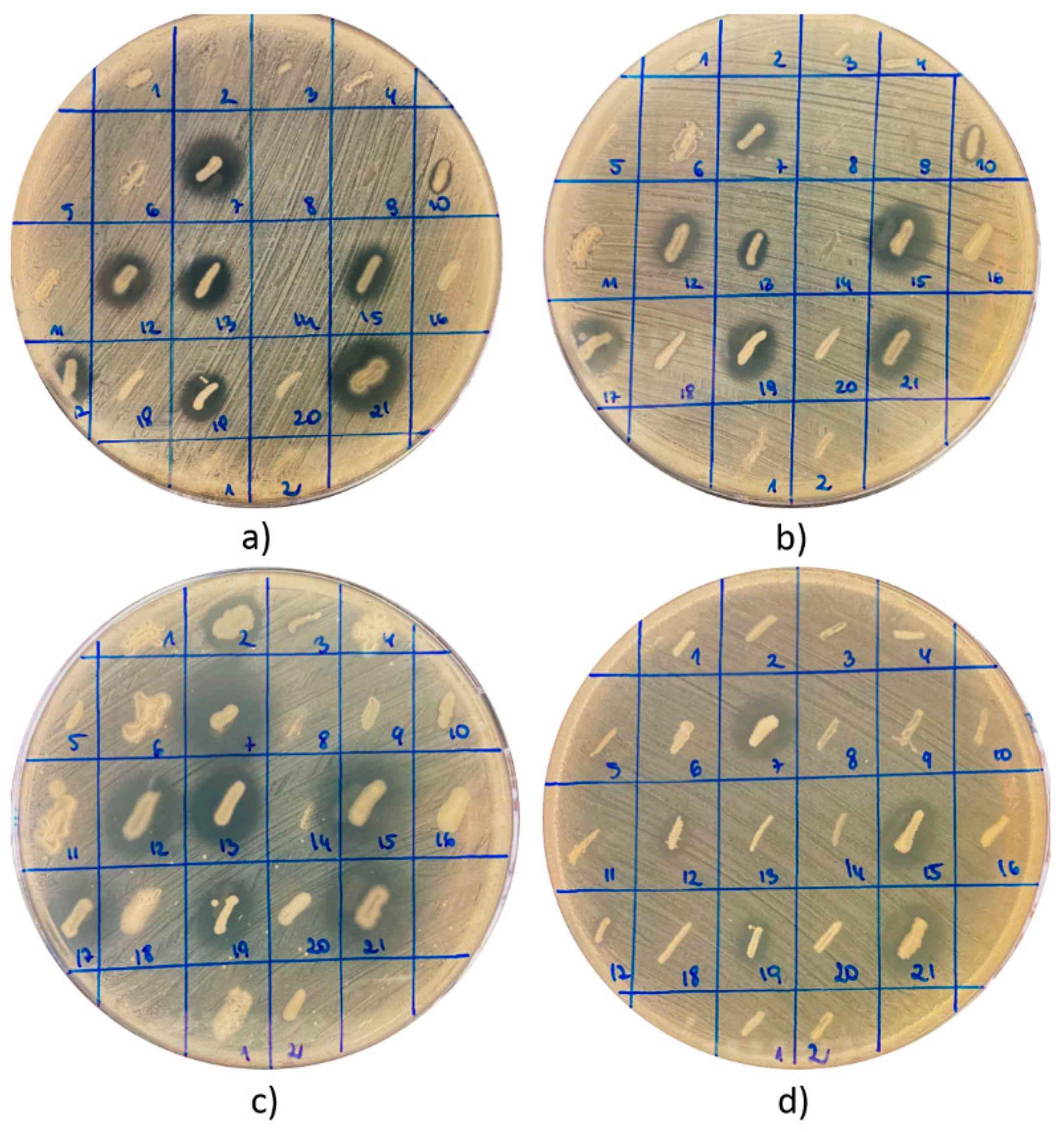 Antibiotics 10 00713 g001