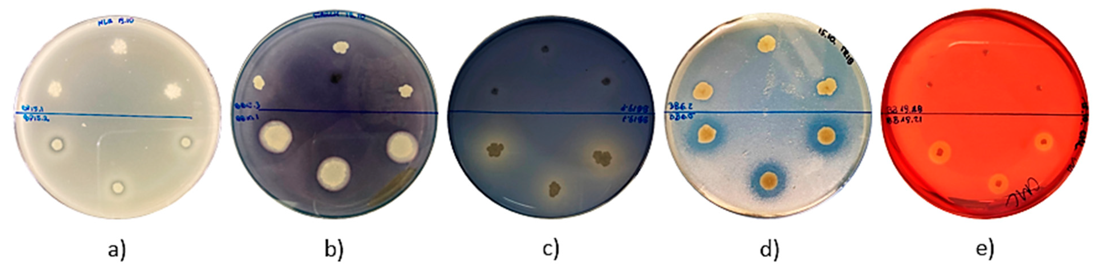 Antibiotics 10 00713 g003
