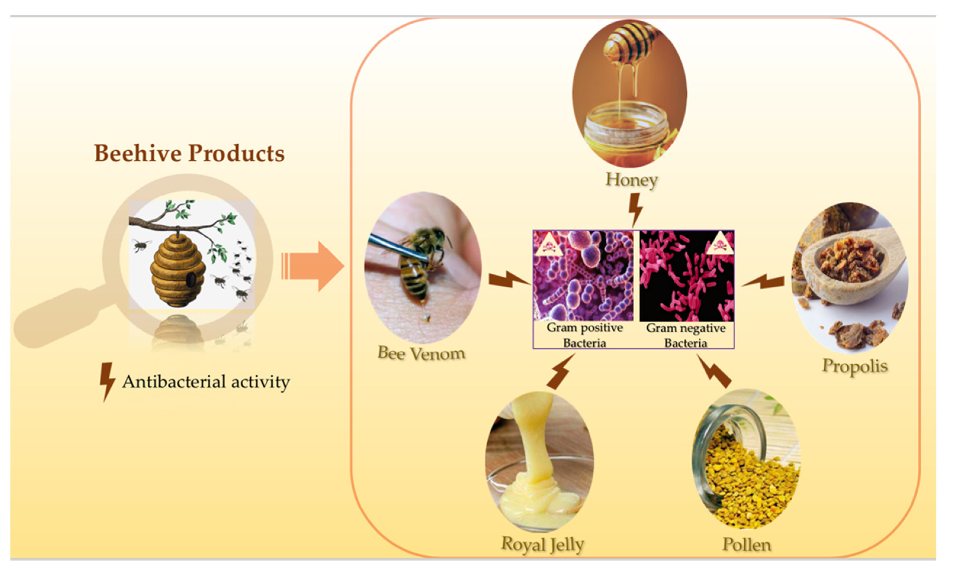 Bee Z Hive System., Bee Z Hive