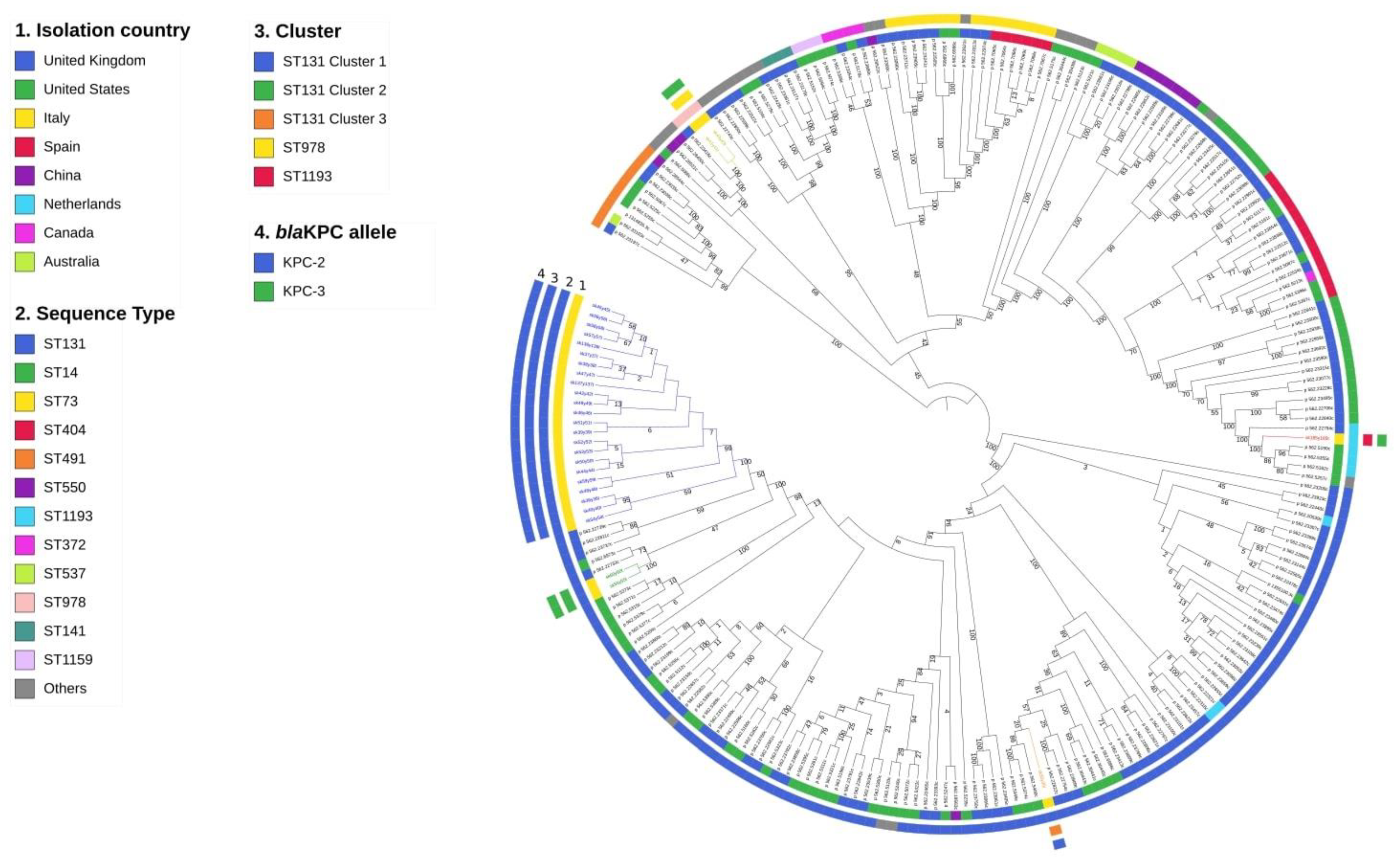 Antibiotics 10 00718 g001