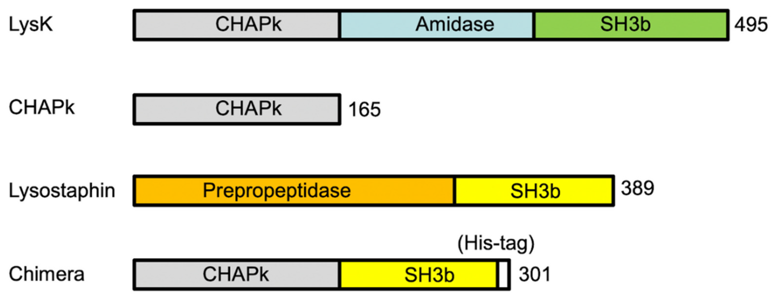 Antibiotics 10 00722 g002 Antibiotics 10 00722 g002
