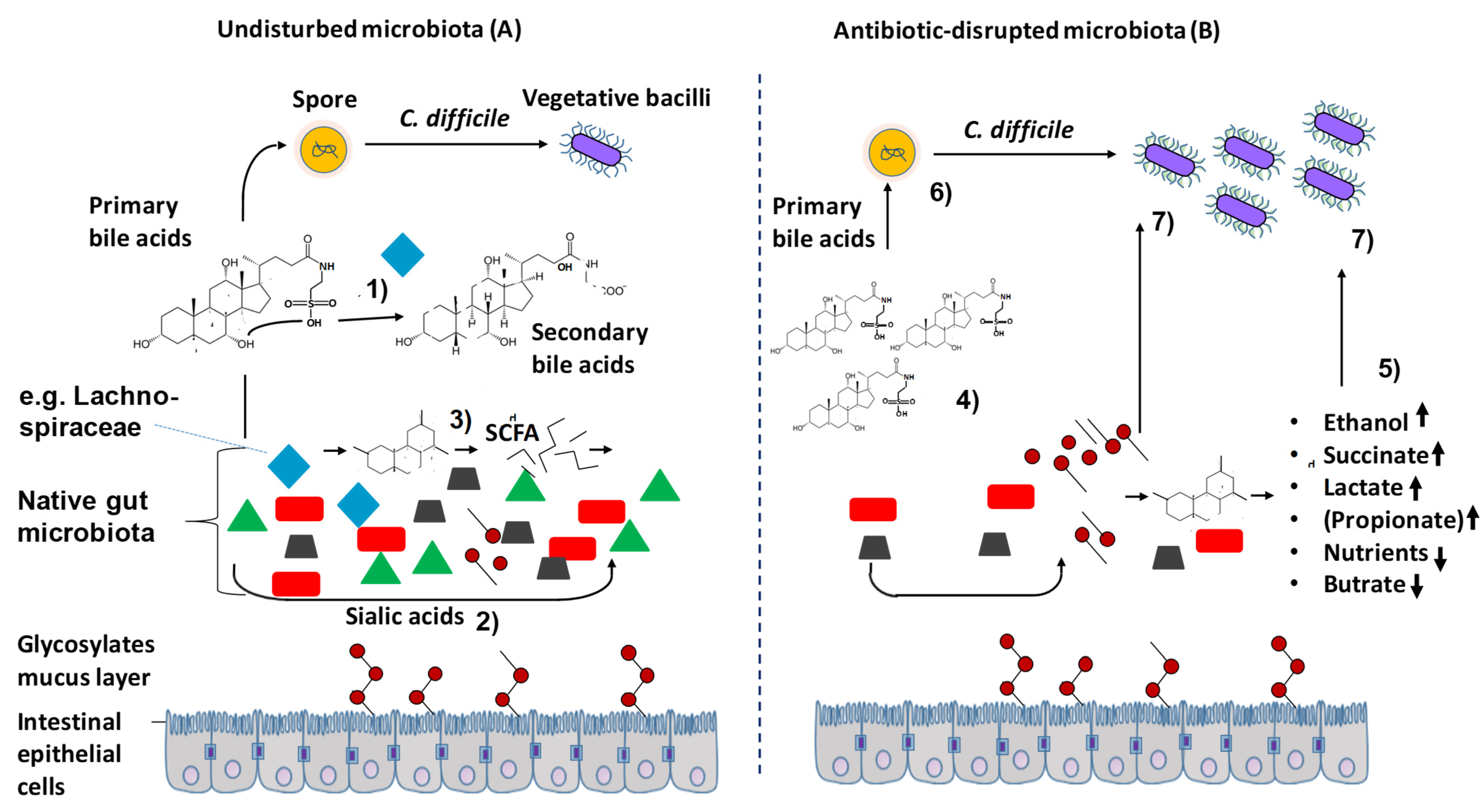 Antibiotics 10 00724 g008 Antibiotics 10 00724 g008