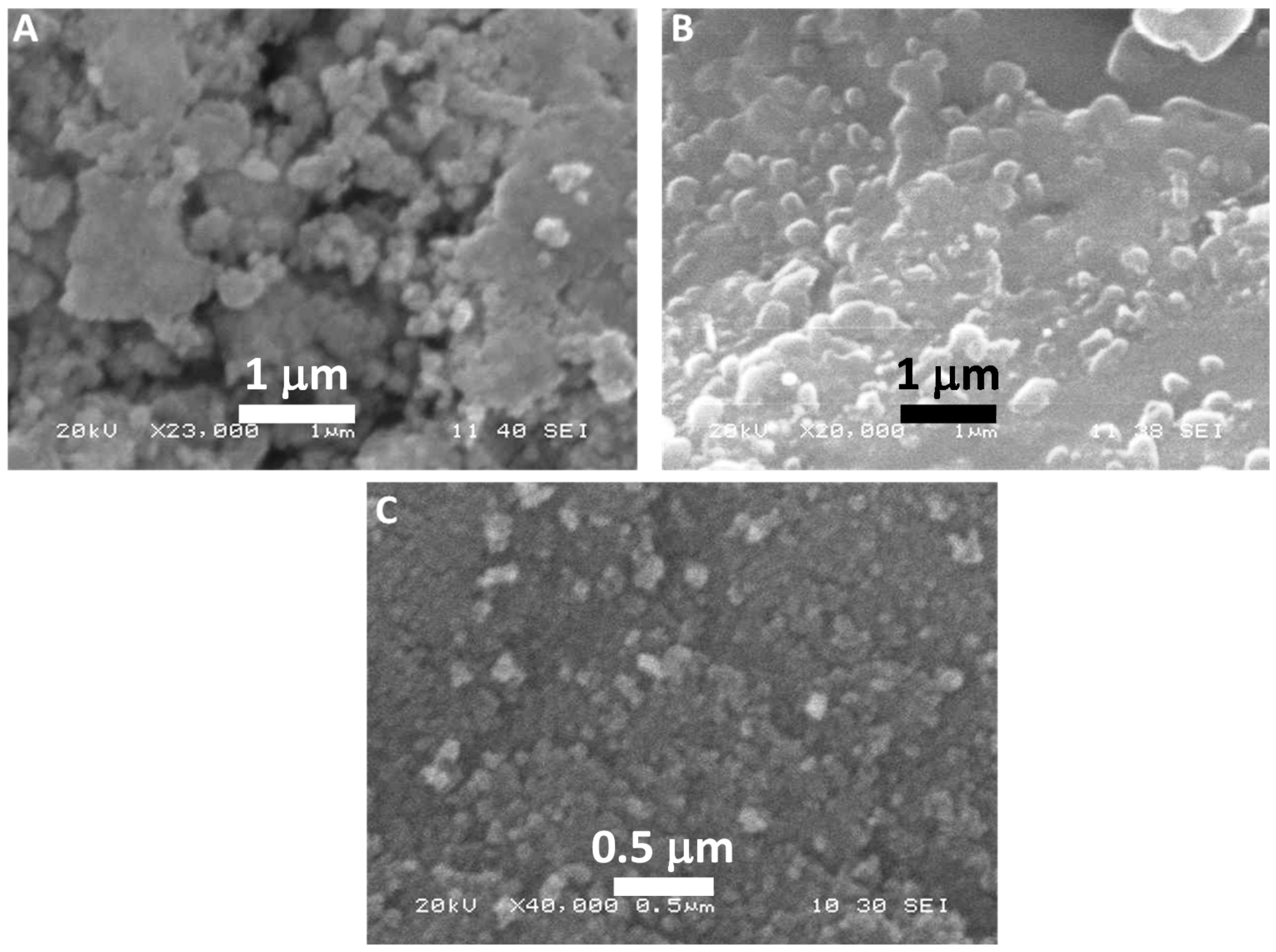 Antibiotics 10 00725 g004