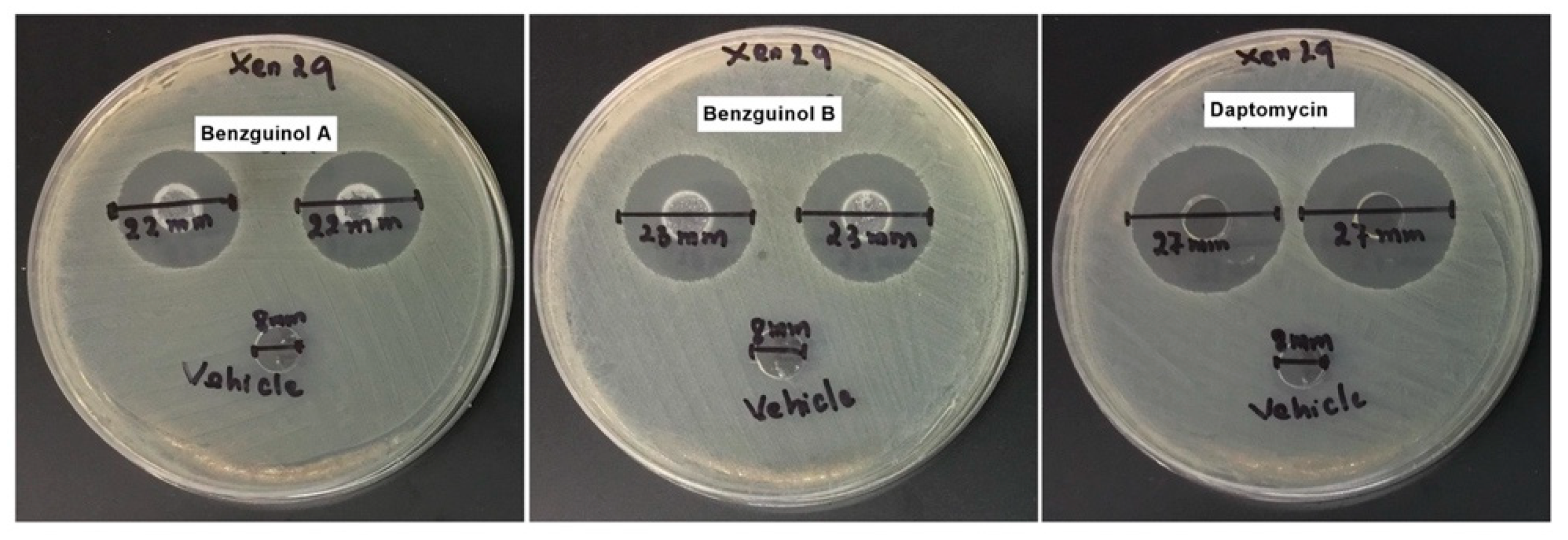 Antibiotics 10 00727 g006 Antibiotics 10 00727 g006