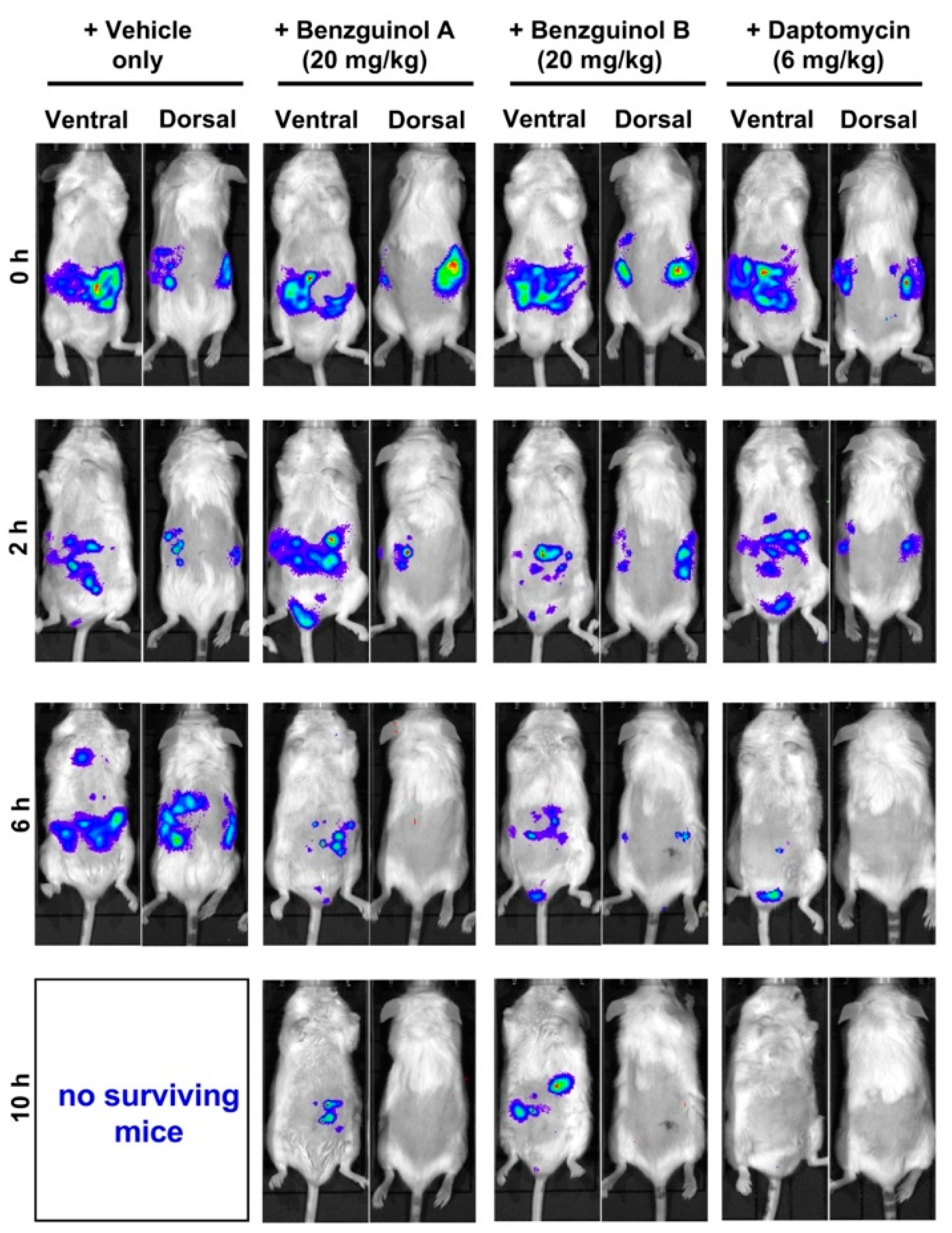 Antibiotics 10 00727 g008 Antibiotics 10 00727 g008