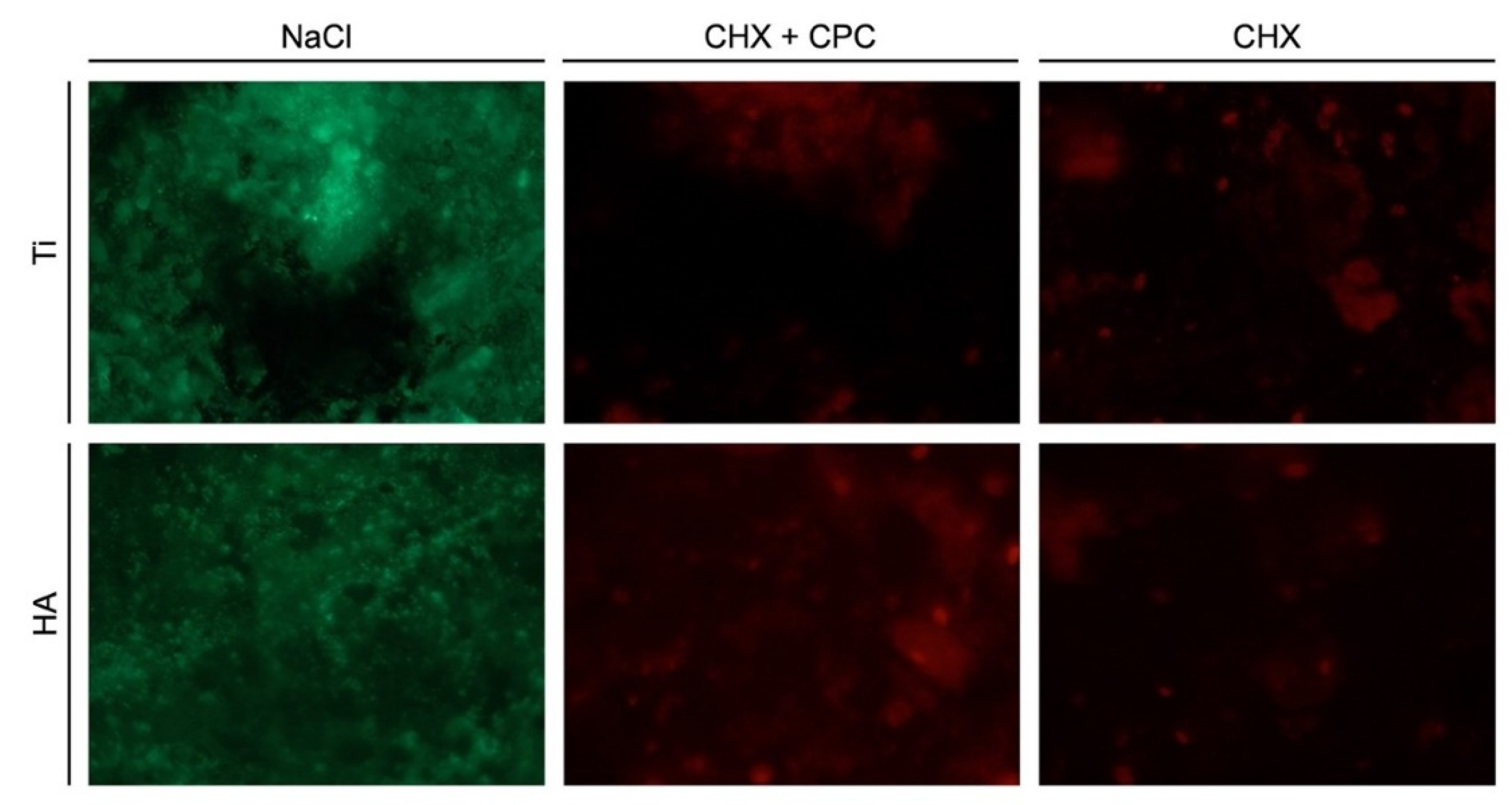 Antibiotics 10 00730 g003