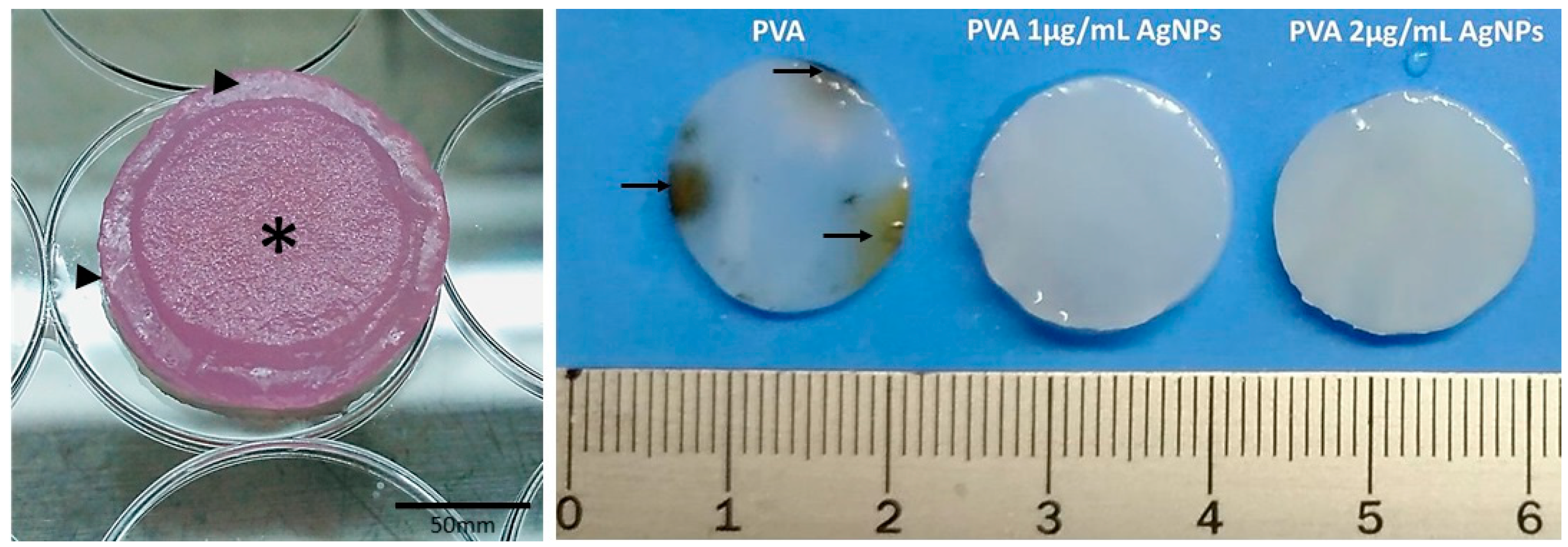 Antibiotics 10 00742 g001