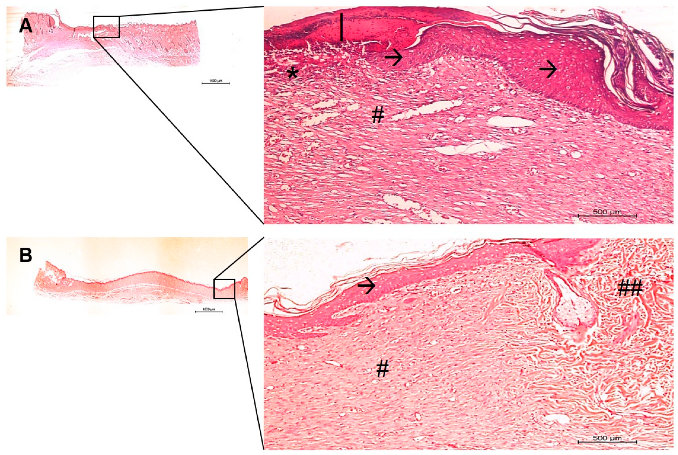 Antibiotics 10 00742 g007