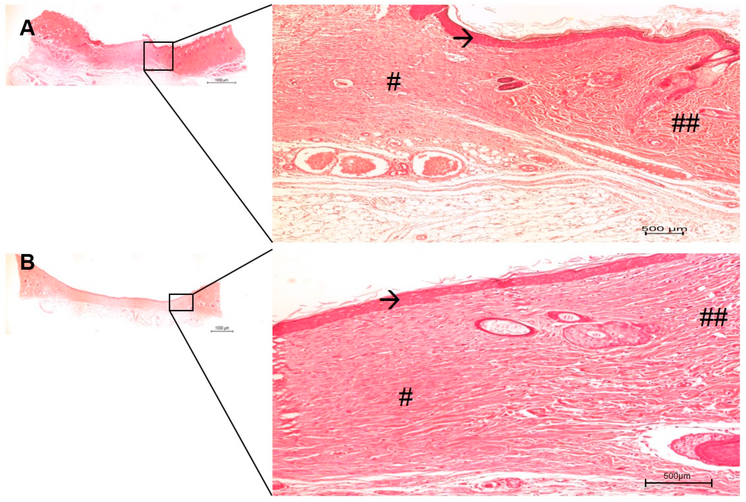 Antibiotics 10 00742 g008