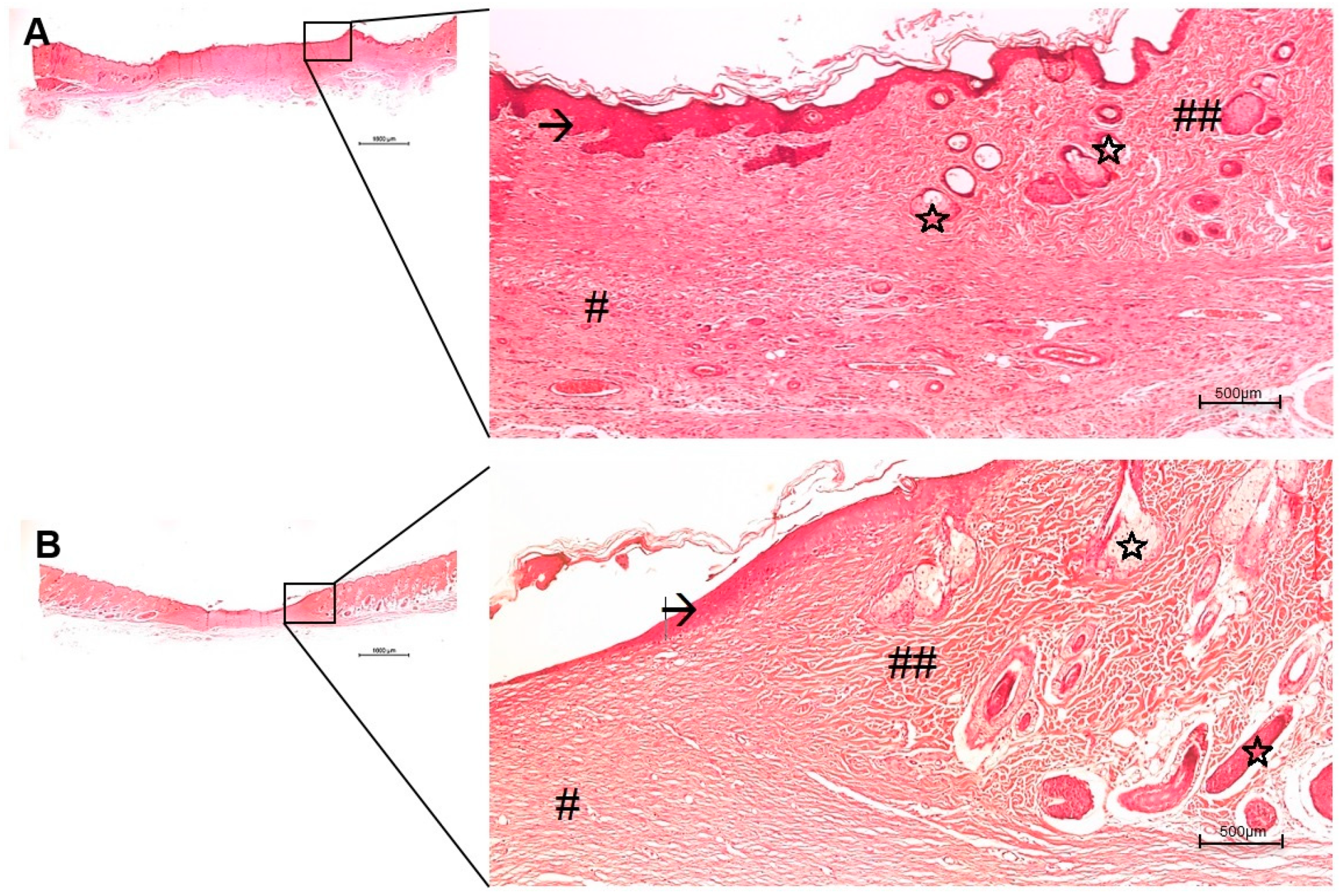 Antibiotics 10 00742 g009