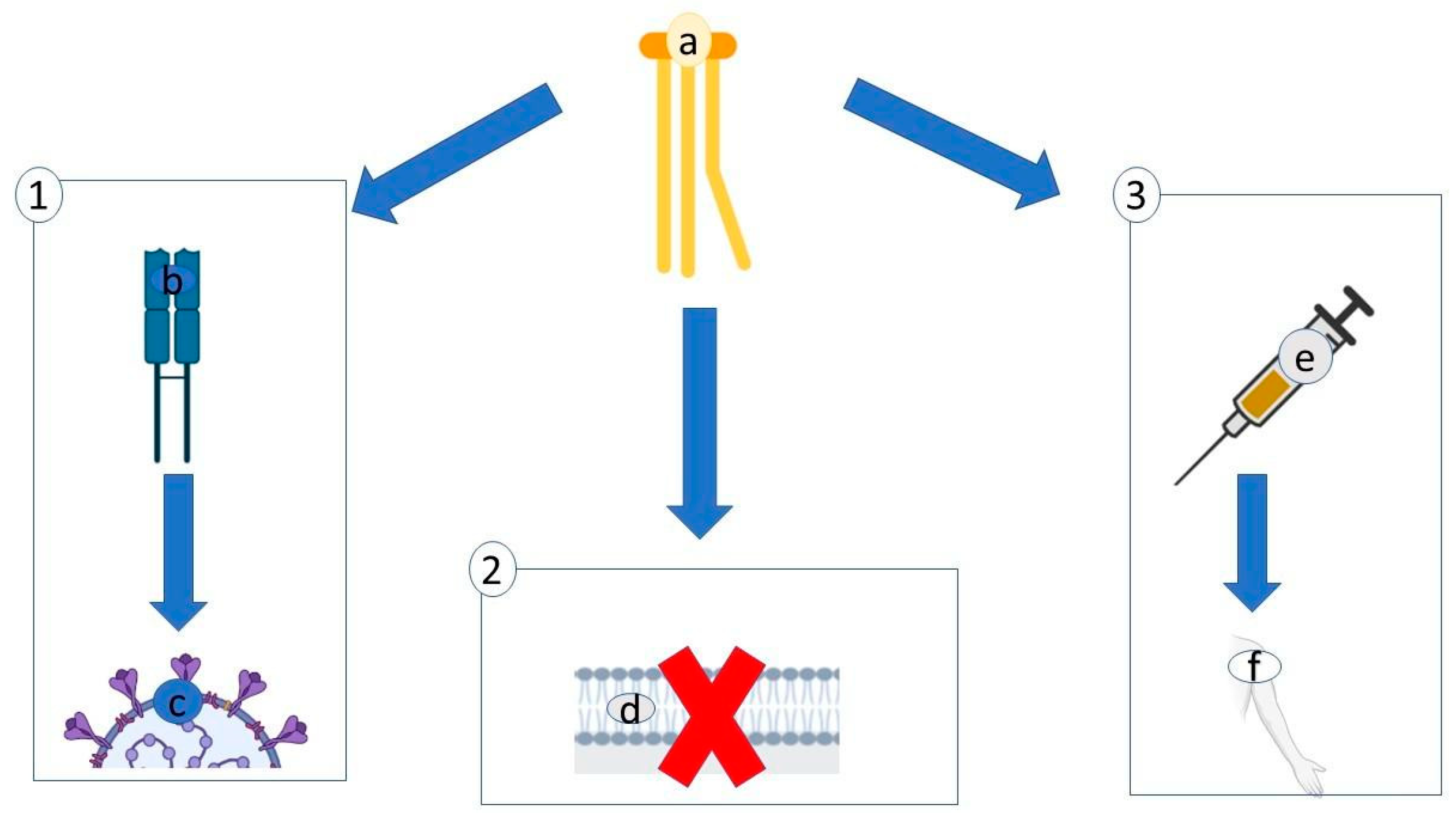 Antibiotics 10 00746 g005