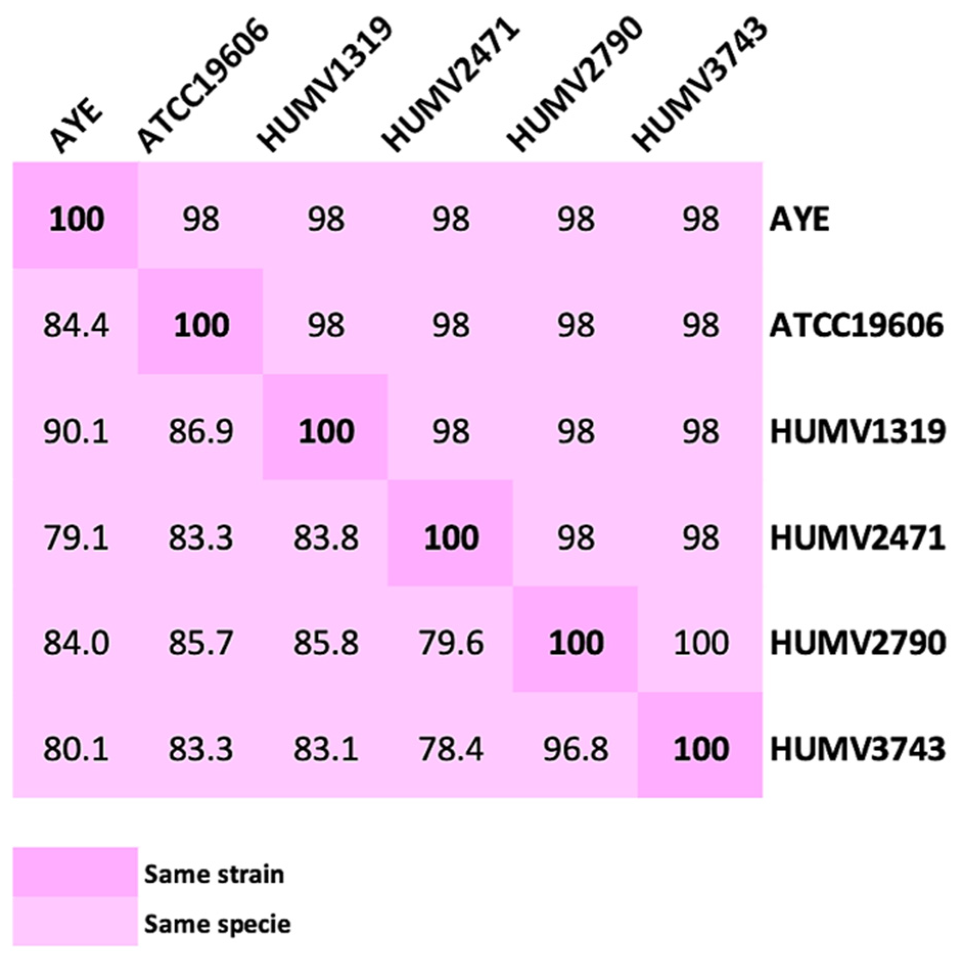 Antibiotics 10 00753 g002