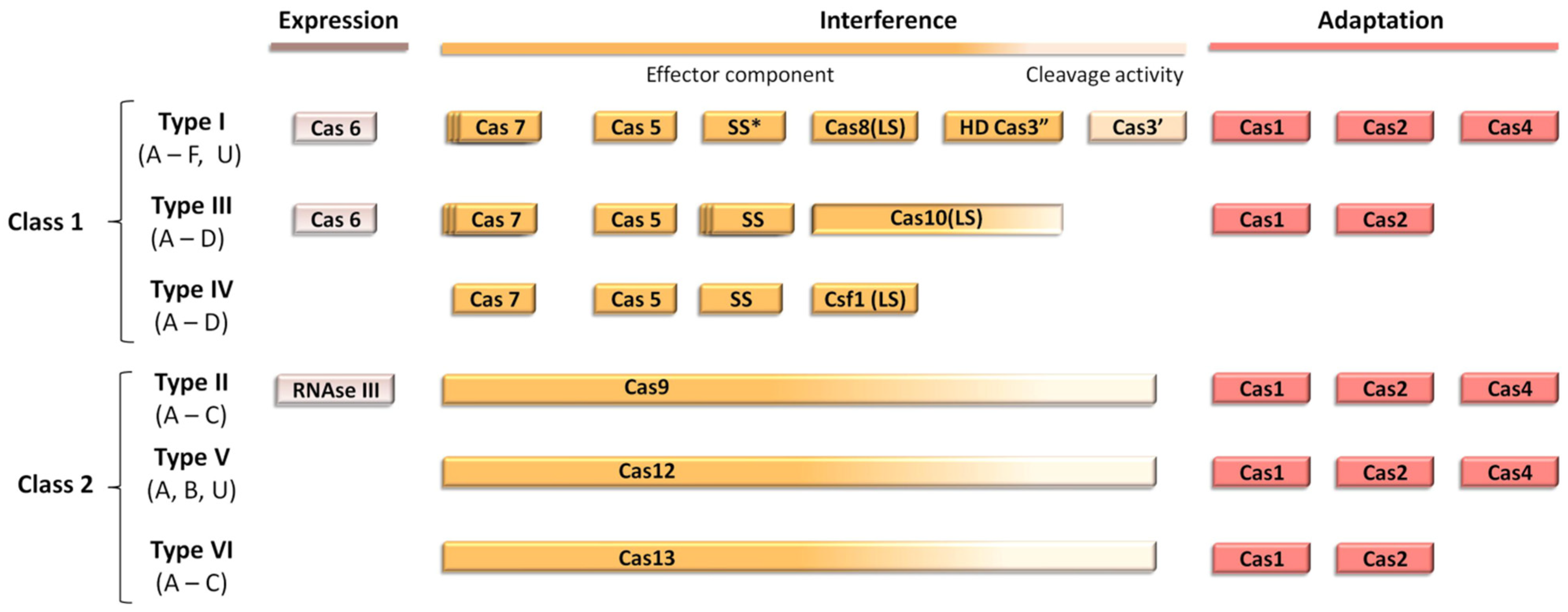 Antibiotics 10 00756 g001 550
