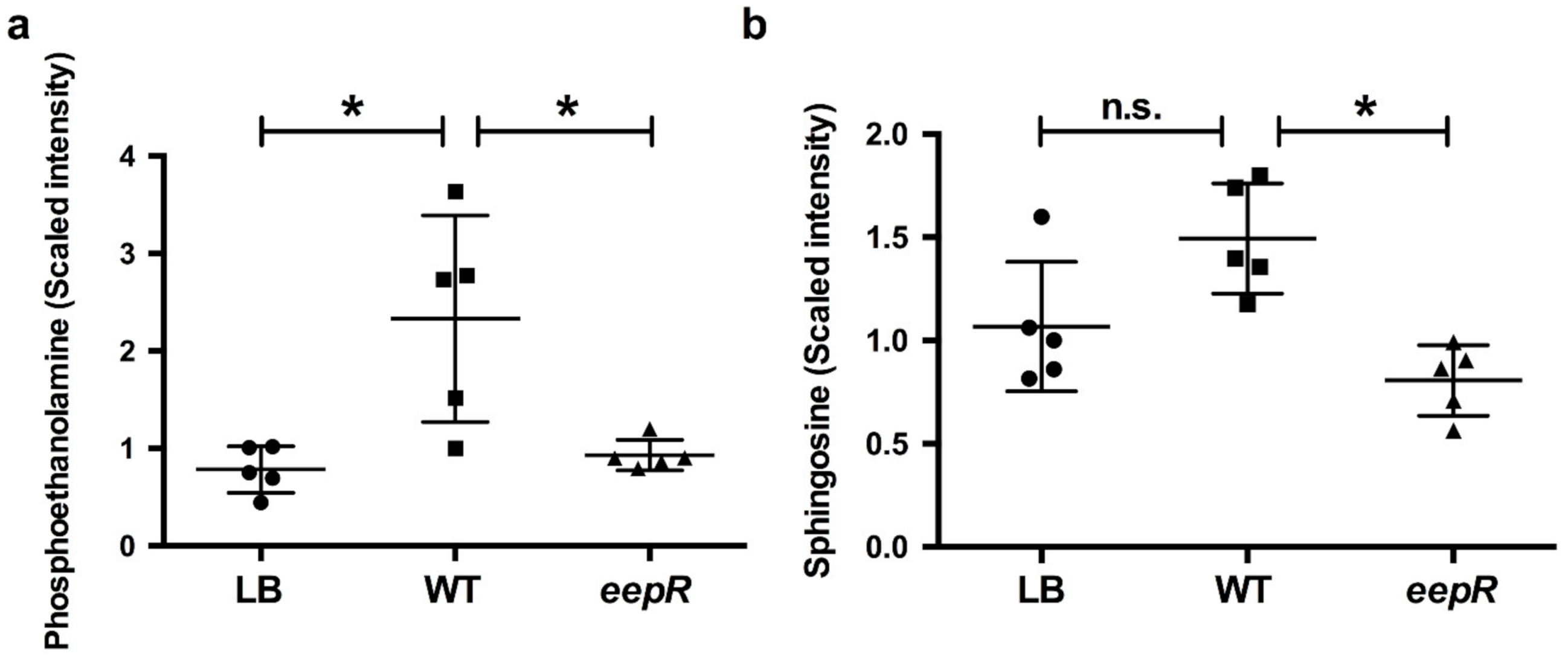 Antibiotics 10 00770 g002 Antibiotics 10 00770 g002